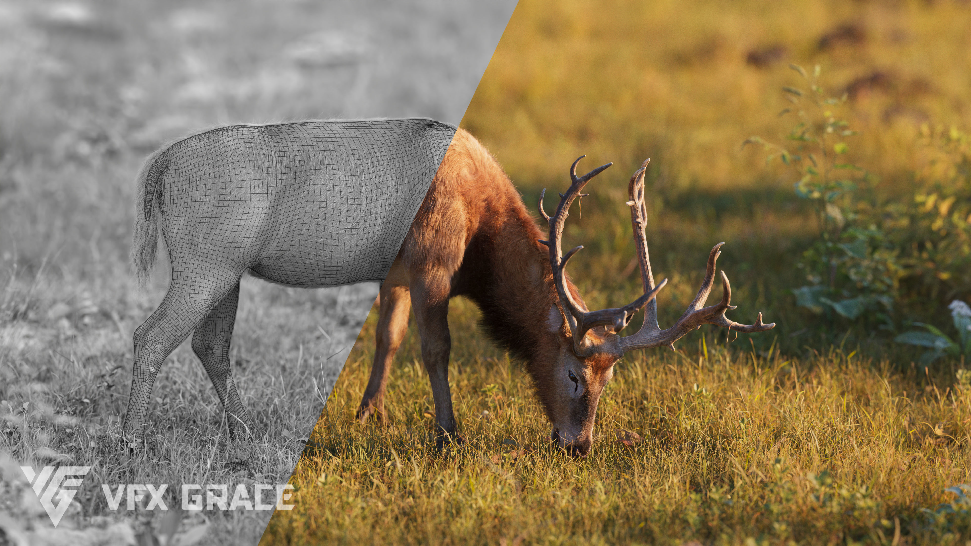 Male Deer with 5 Animations  VFX Grace 3D model_11