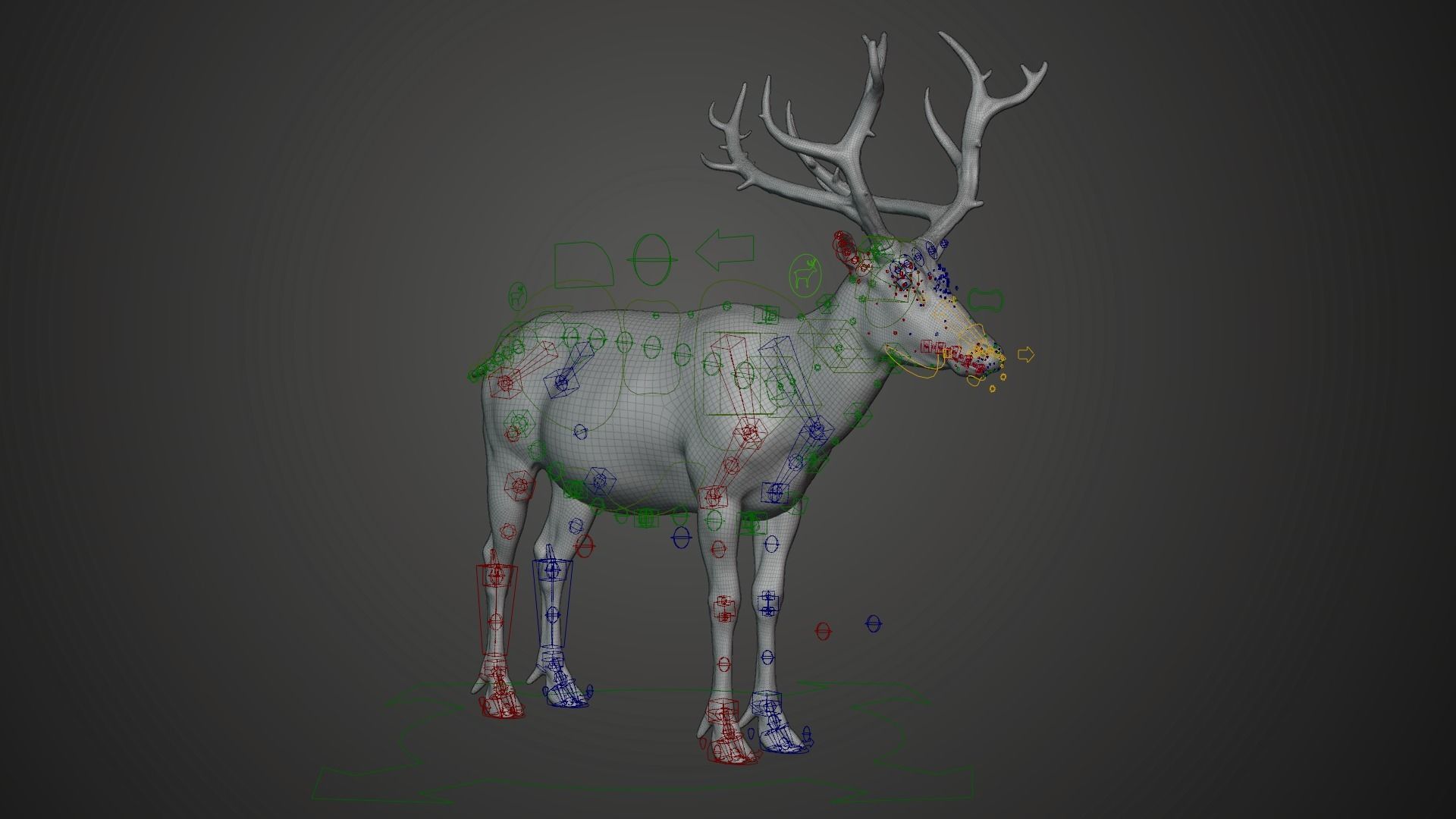 Male Deer with 5 Animations  VFX Grace 3D model_18