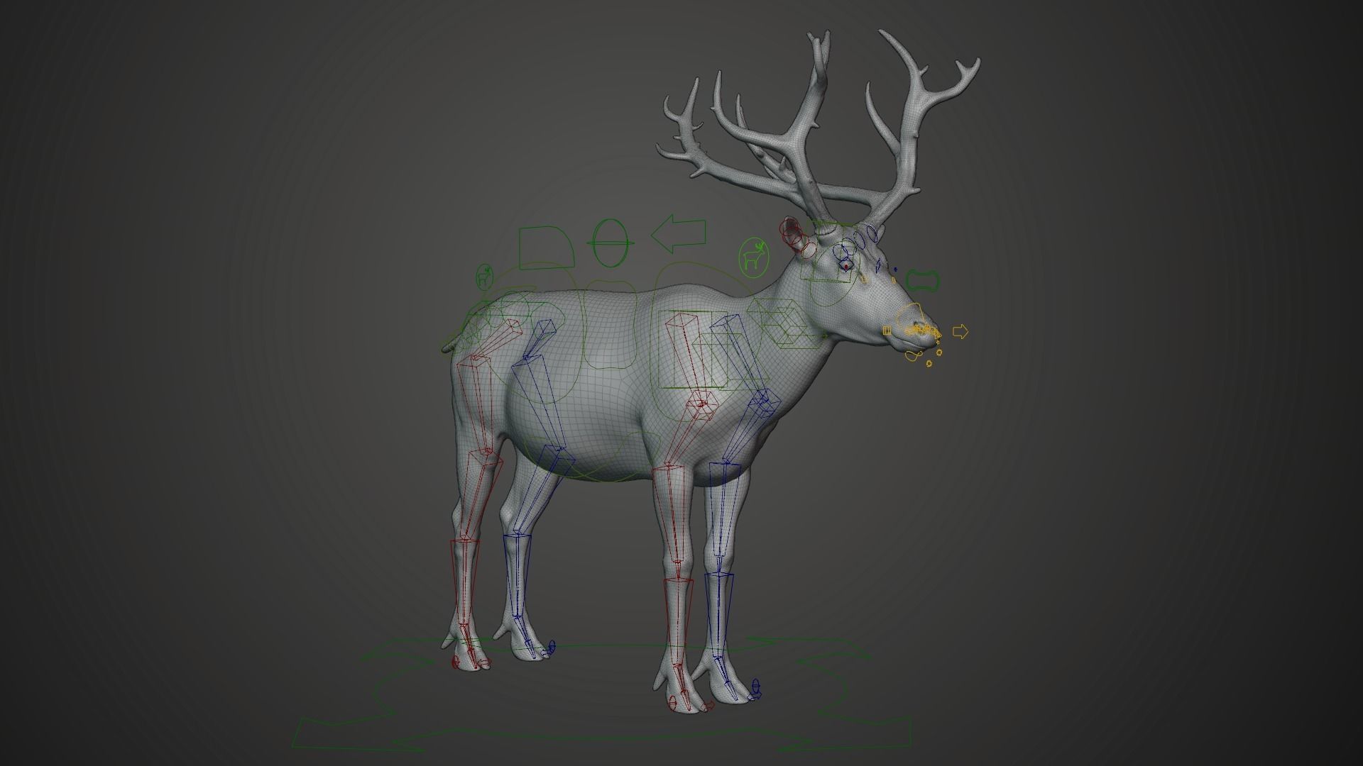 Male Deer with 5 Animations  VFX Grace 3D model_20
