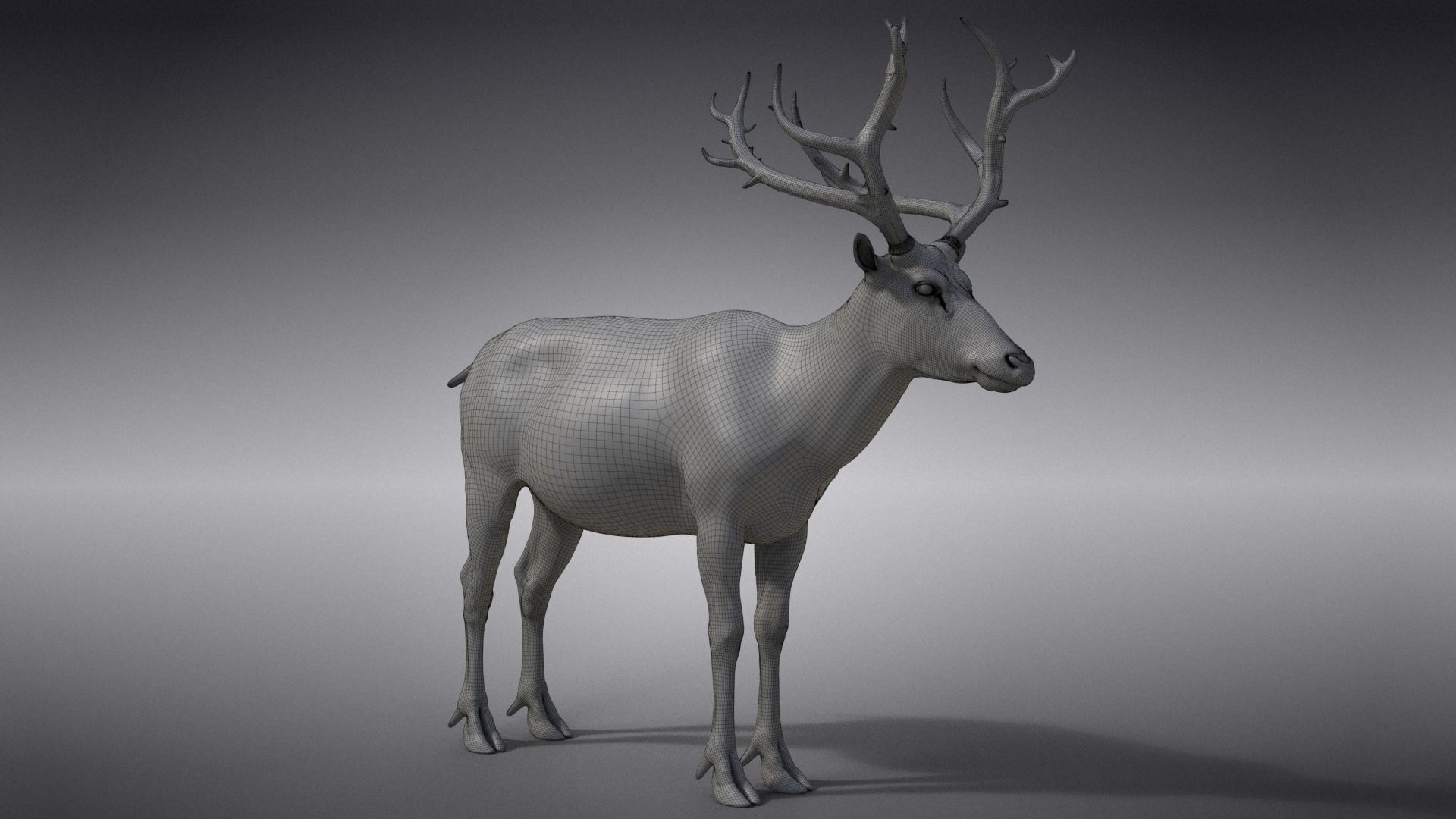 Male Deer with 5 Animations  VFX Grace 3D model_34