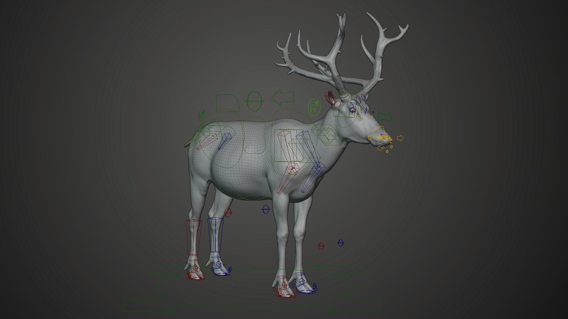 Male Deer with 5 Animations  VFX Grace 3D model_19