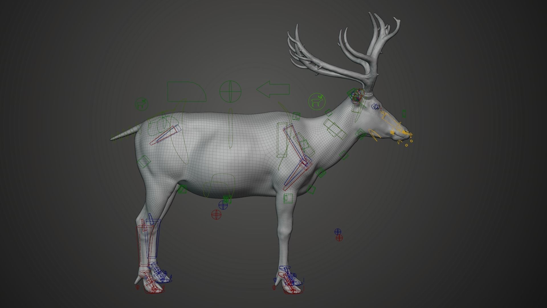 Male Deer with 2 Animations  VFX Grace 3D model_12