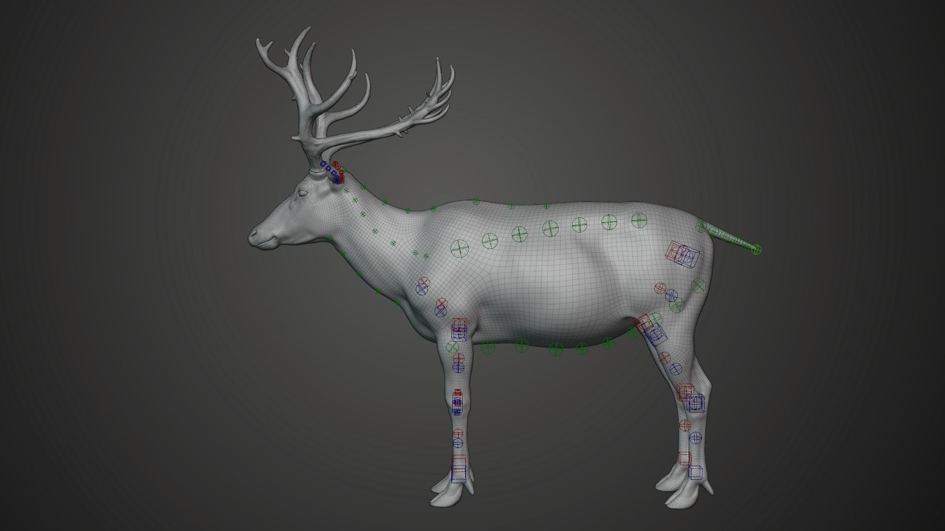 Male Deer with 2 Animations  VFX Grace 3D model_13