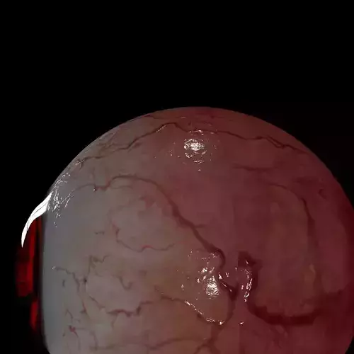 Science Globe Ocular