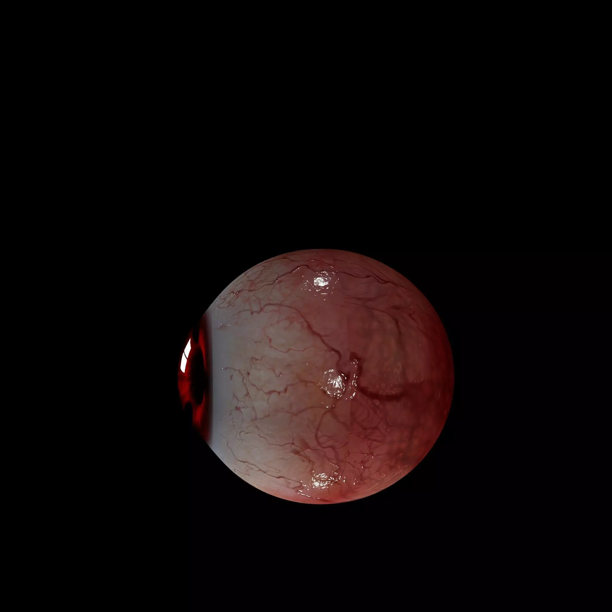 GlobeOcular human eye - retina 3D model
