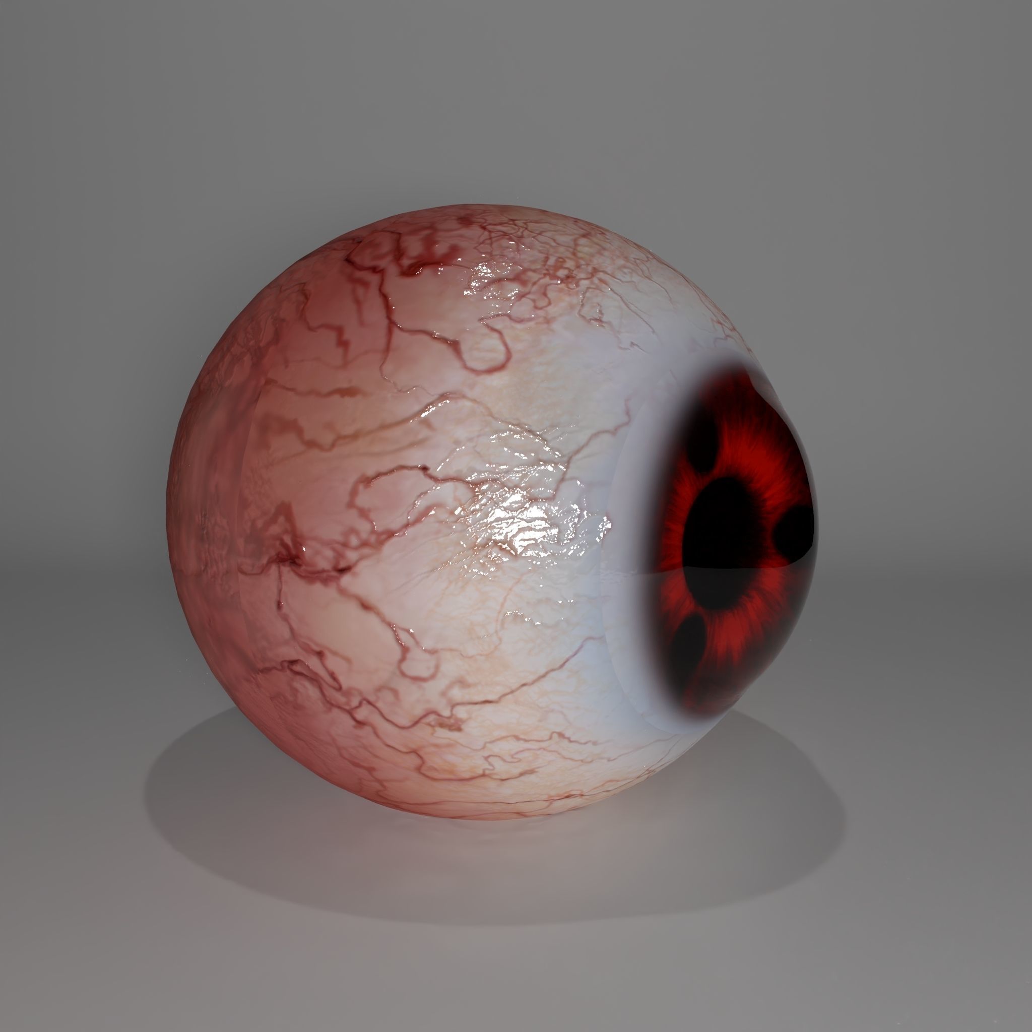 Eyeball human eye with blood 3D model_1