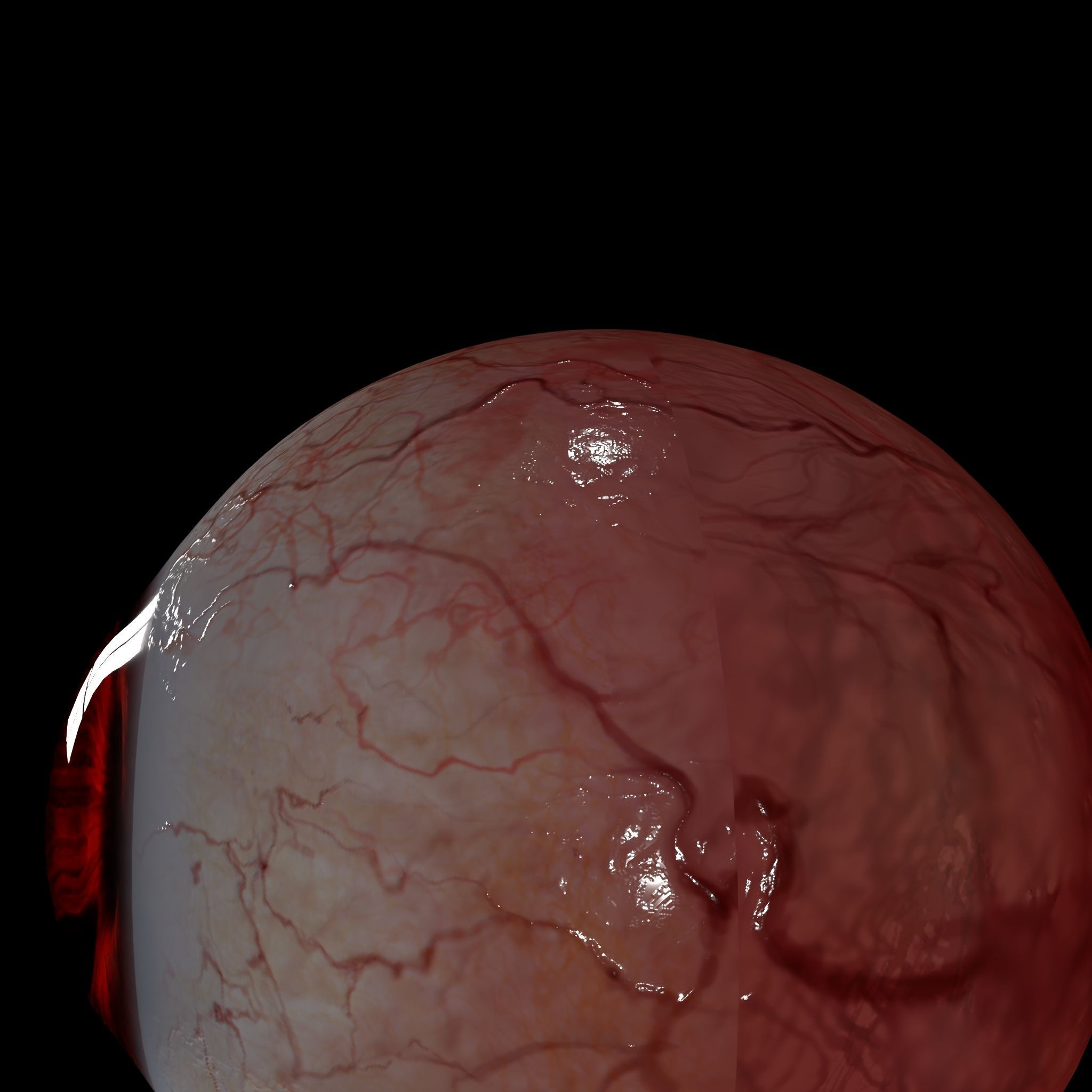 Eyeball human eye with blood 3D model_6