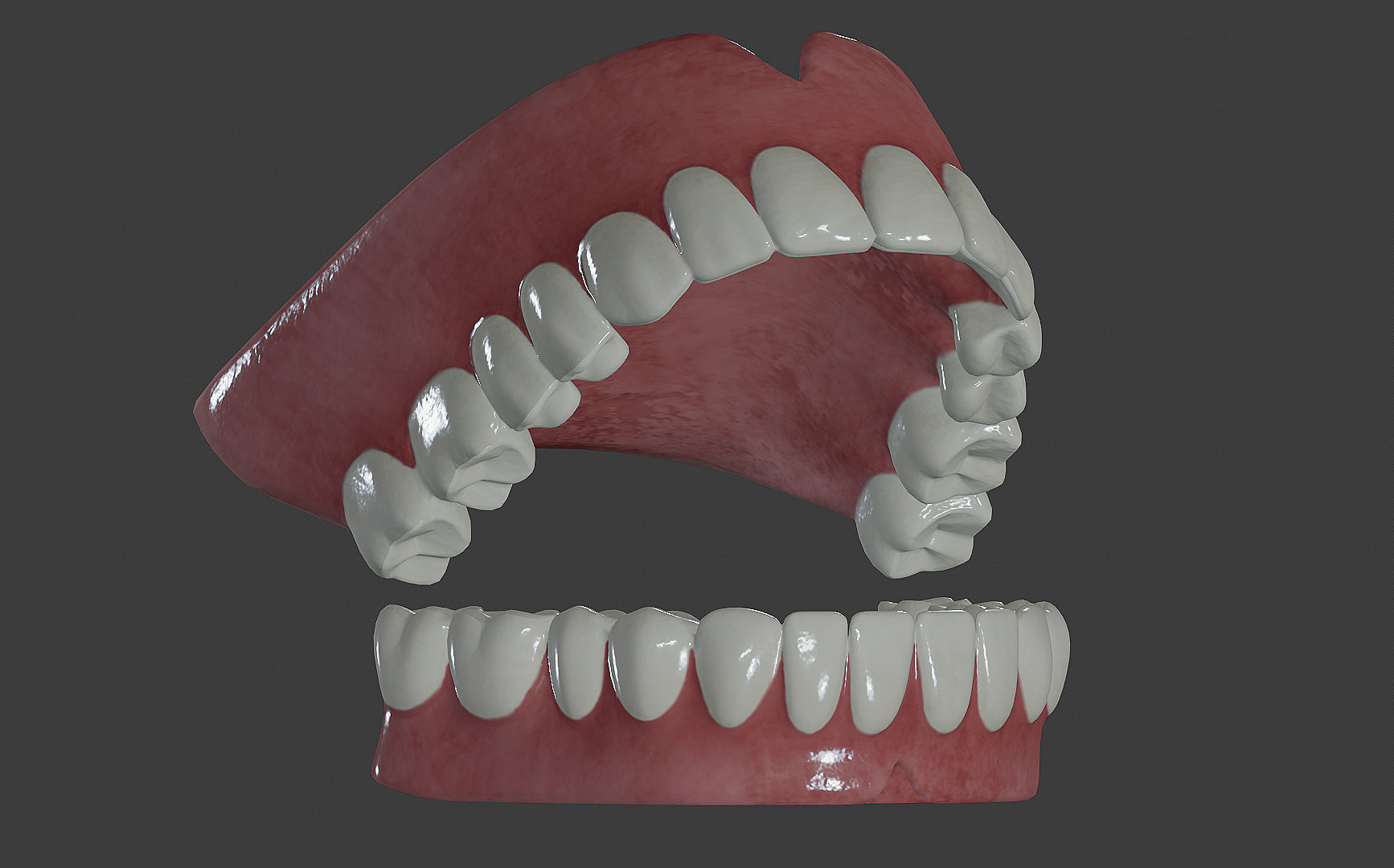 Human Teeth 3D model | CGTrader