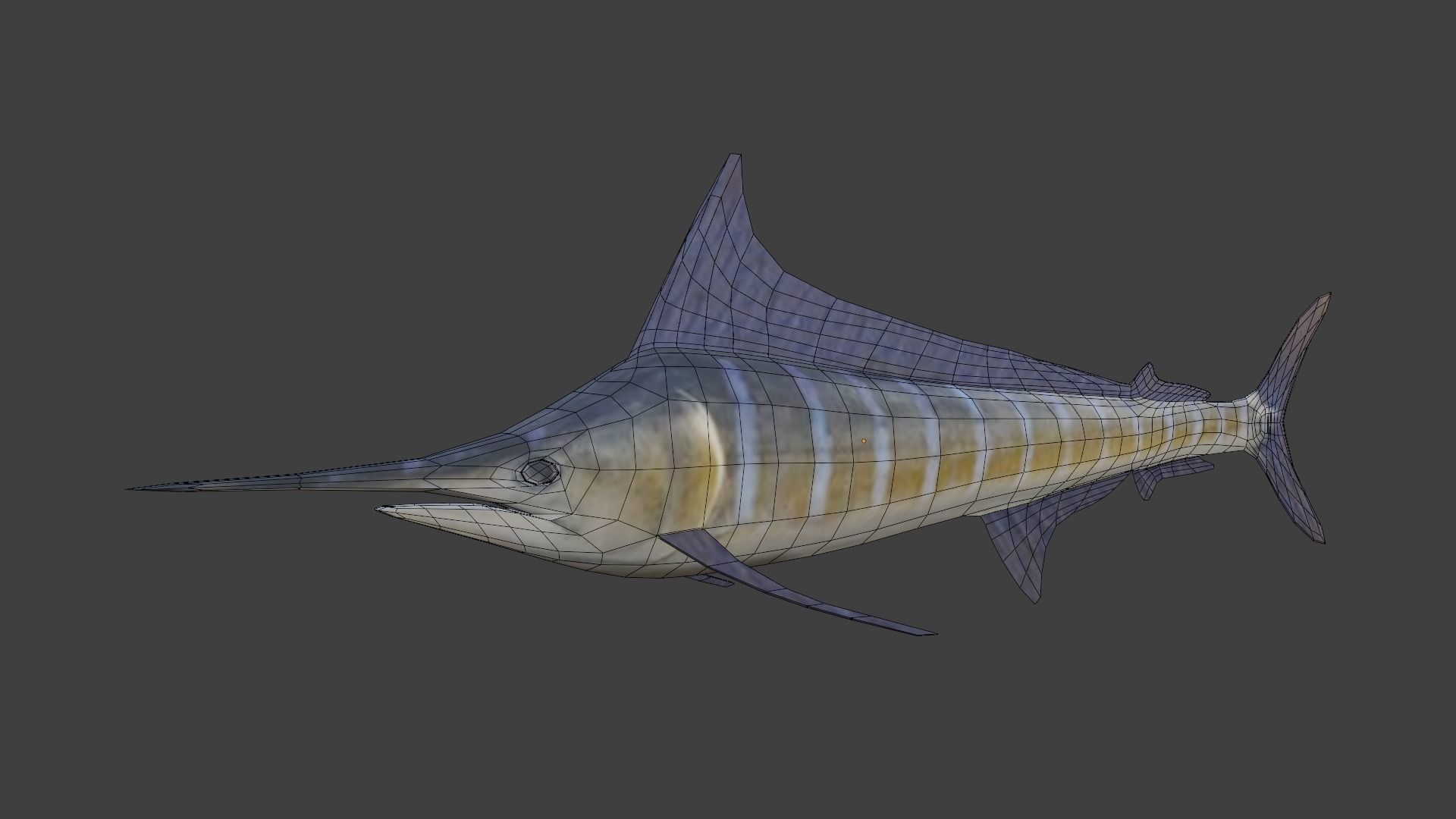 Blue Marlin Low-poly 3D model_3