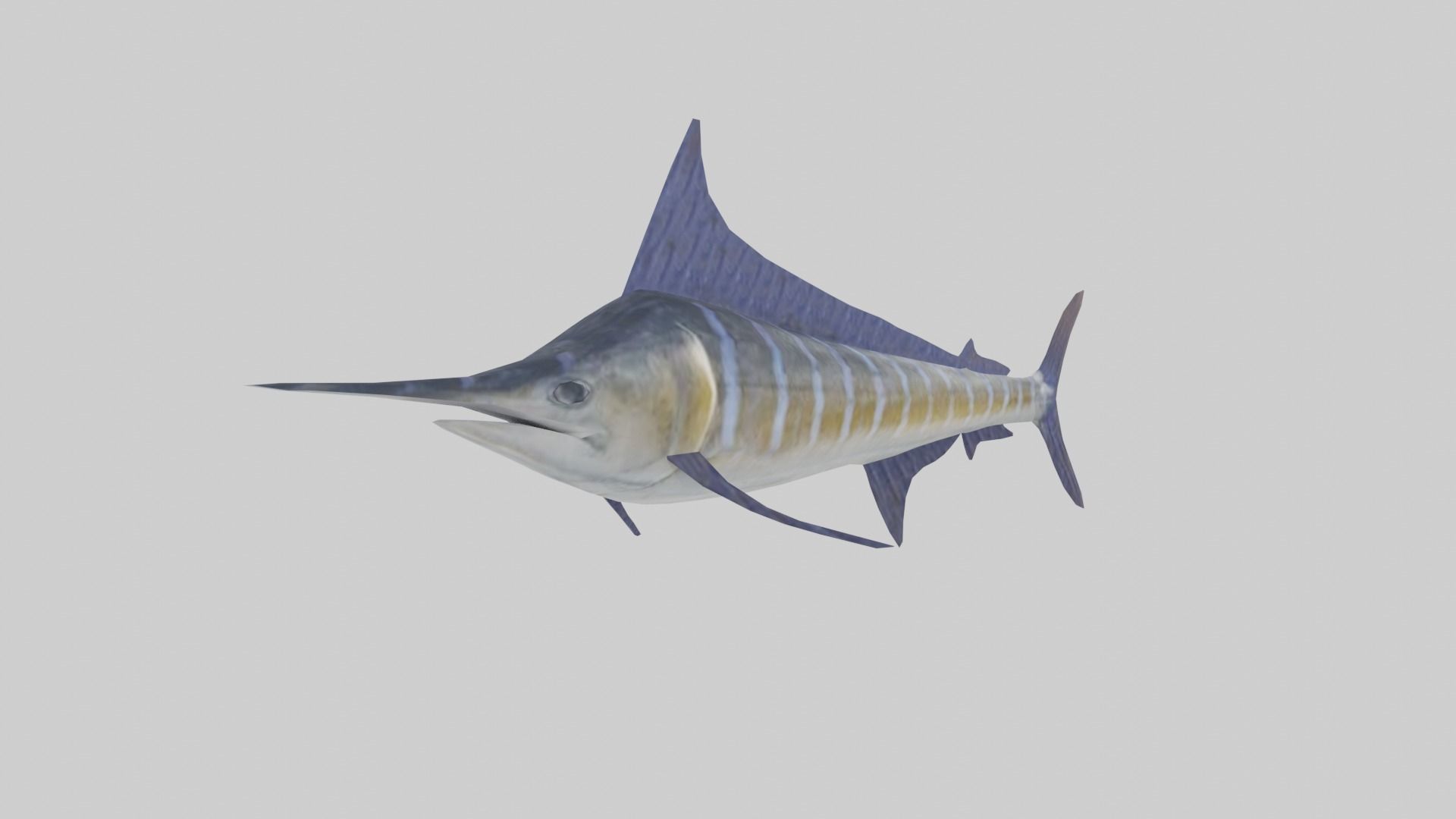 Blue Marlin Low-poly 3D model_2