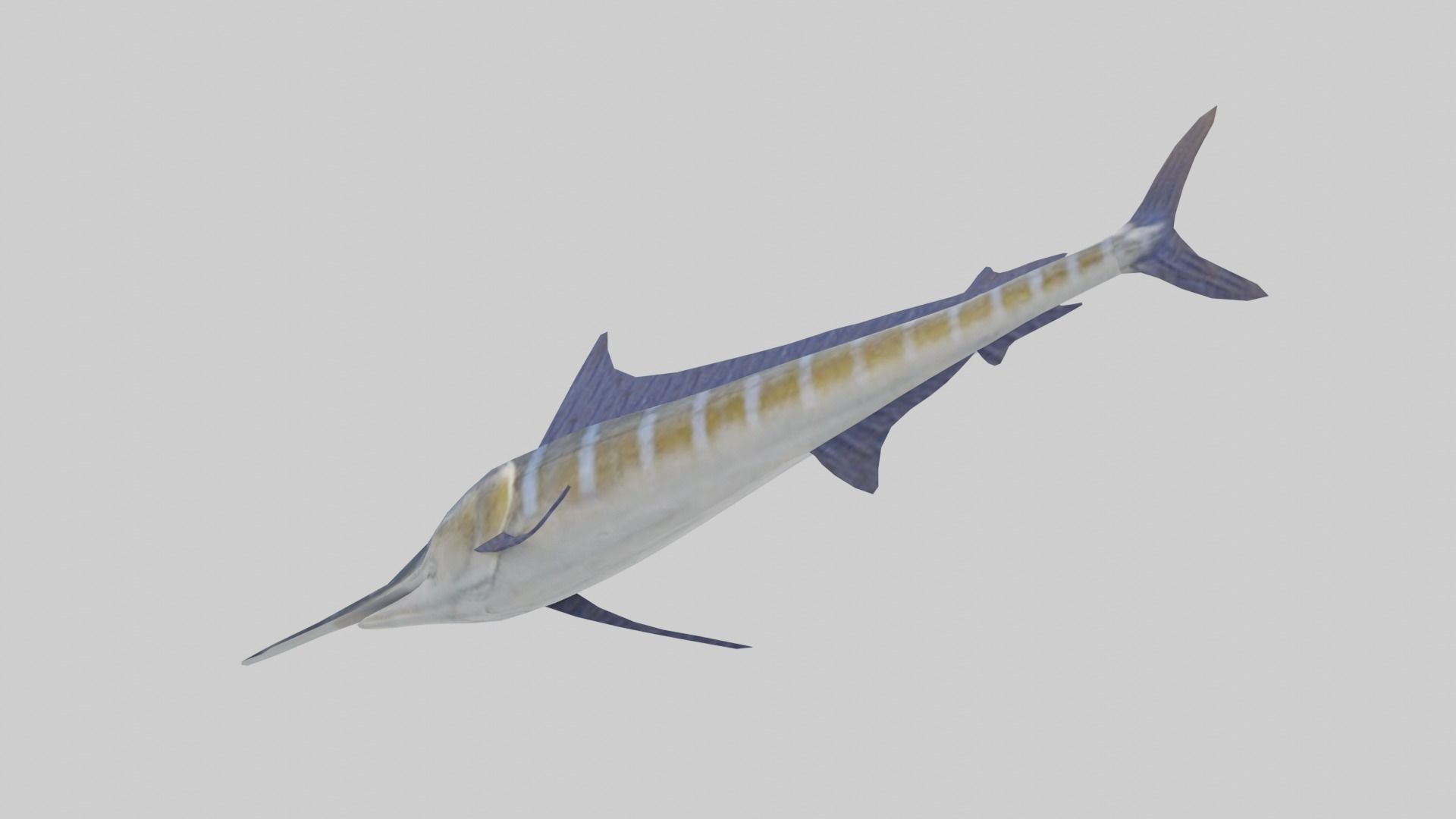 Blue Marlin Low-poly 3D model_4