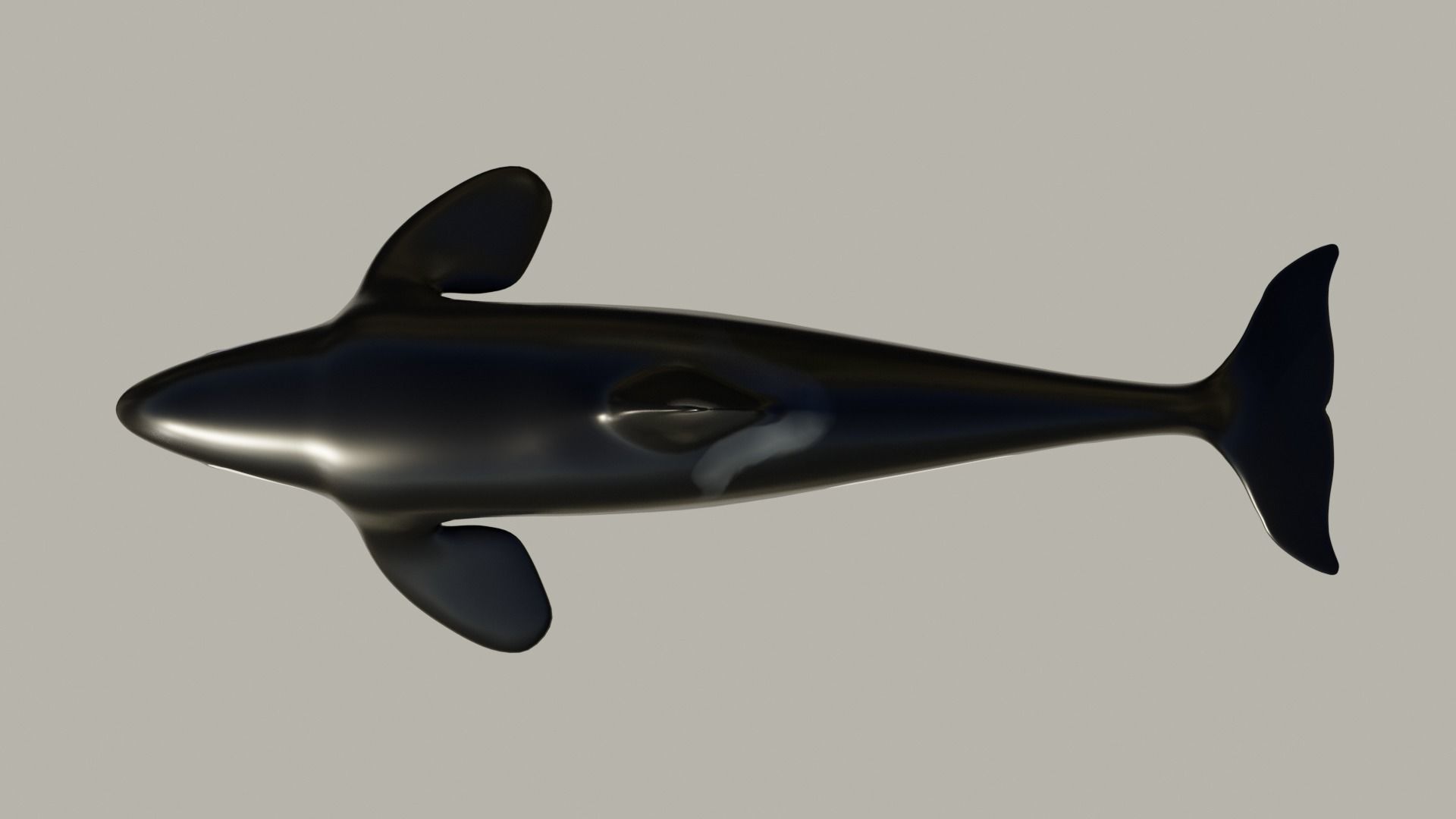 Killer Whale - Low-poly 3D model Free low-poly 3D model_2