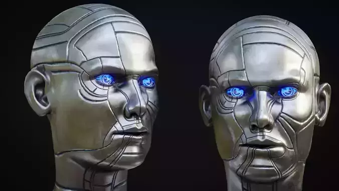 Female Robot Head