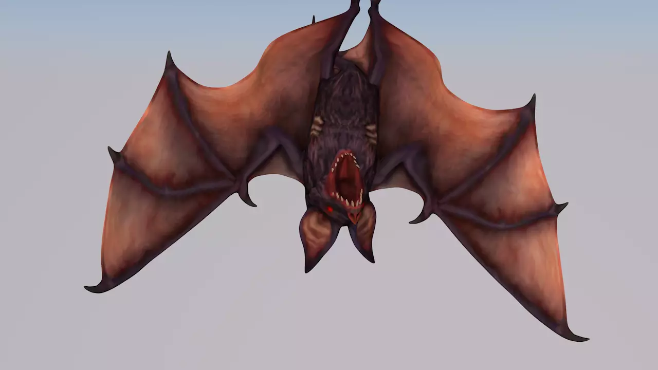 bat animations Low-poly 3D model_0