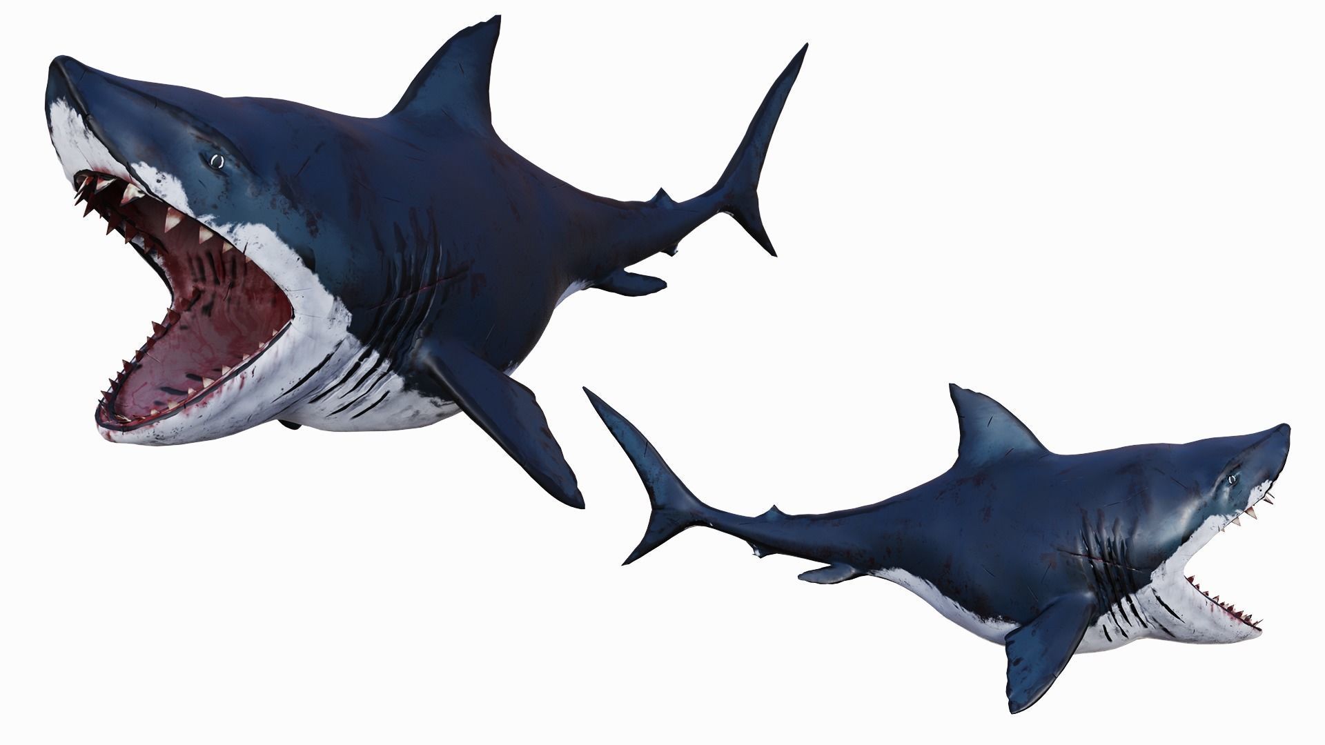  Fat Toony Shark Low-poly 3D model_5