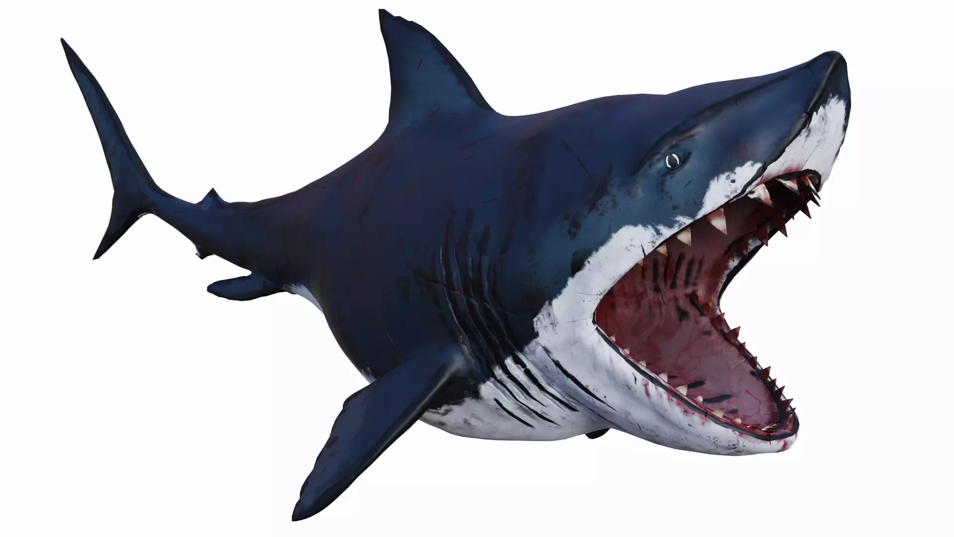  Fat Toony Shark Low-poly 3D model_0