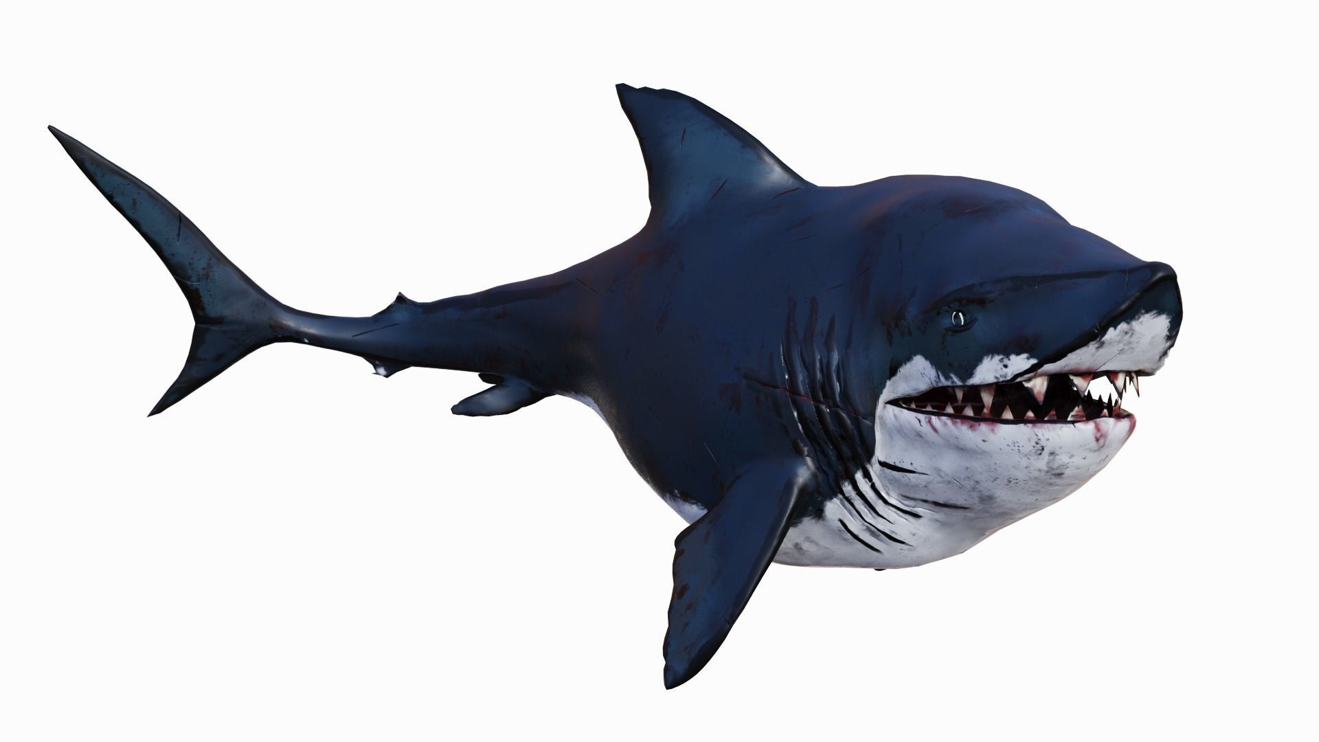 Fat Toony Shark Low-poly 3D model_3