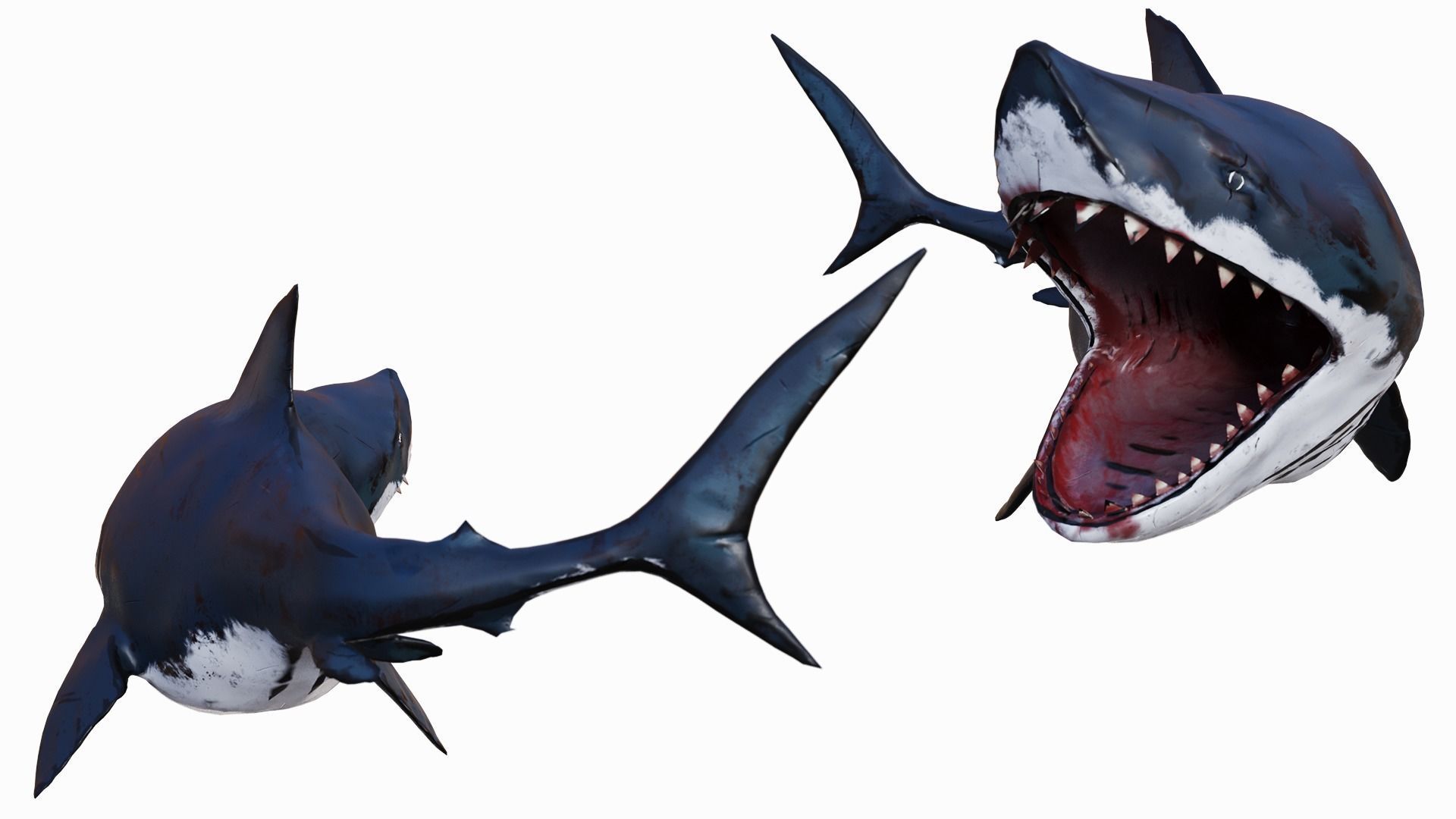  Fat Toony Shark Low-poly 3D model_2