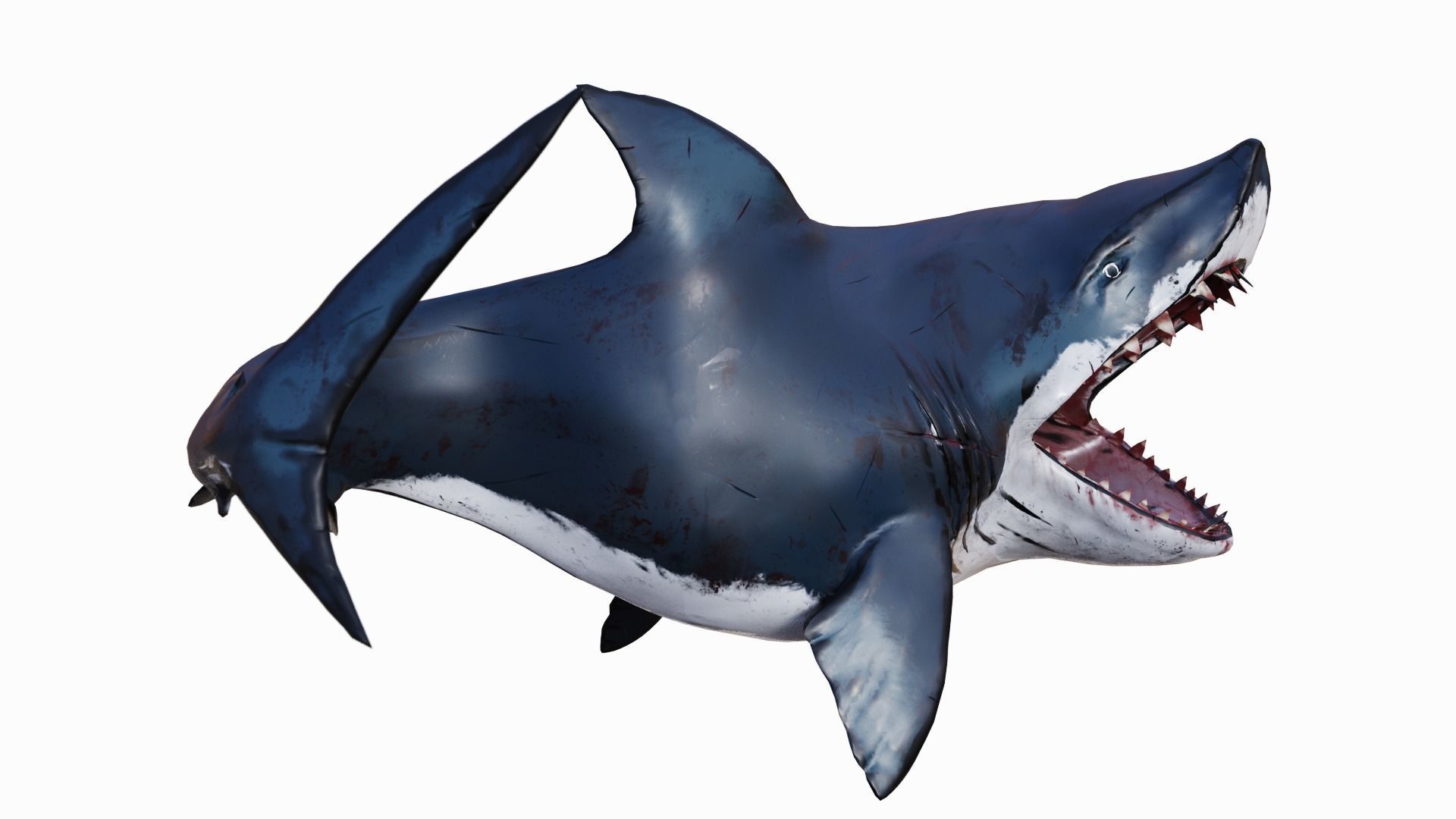  Fat Toony Shark Low-poly 3D model_4