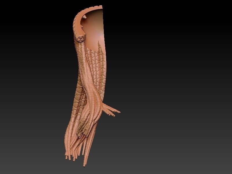 Predator Girl 3D print model_24