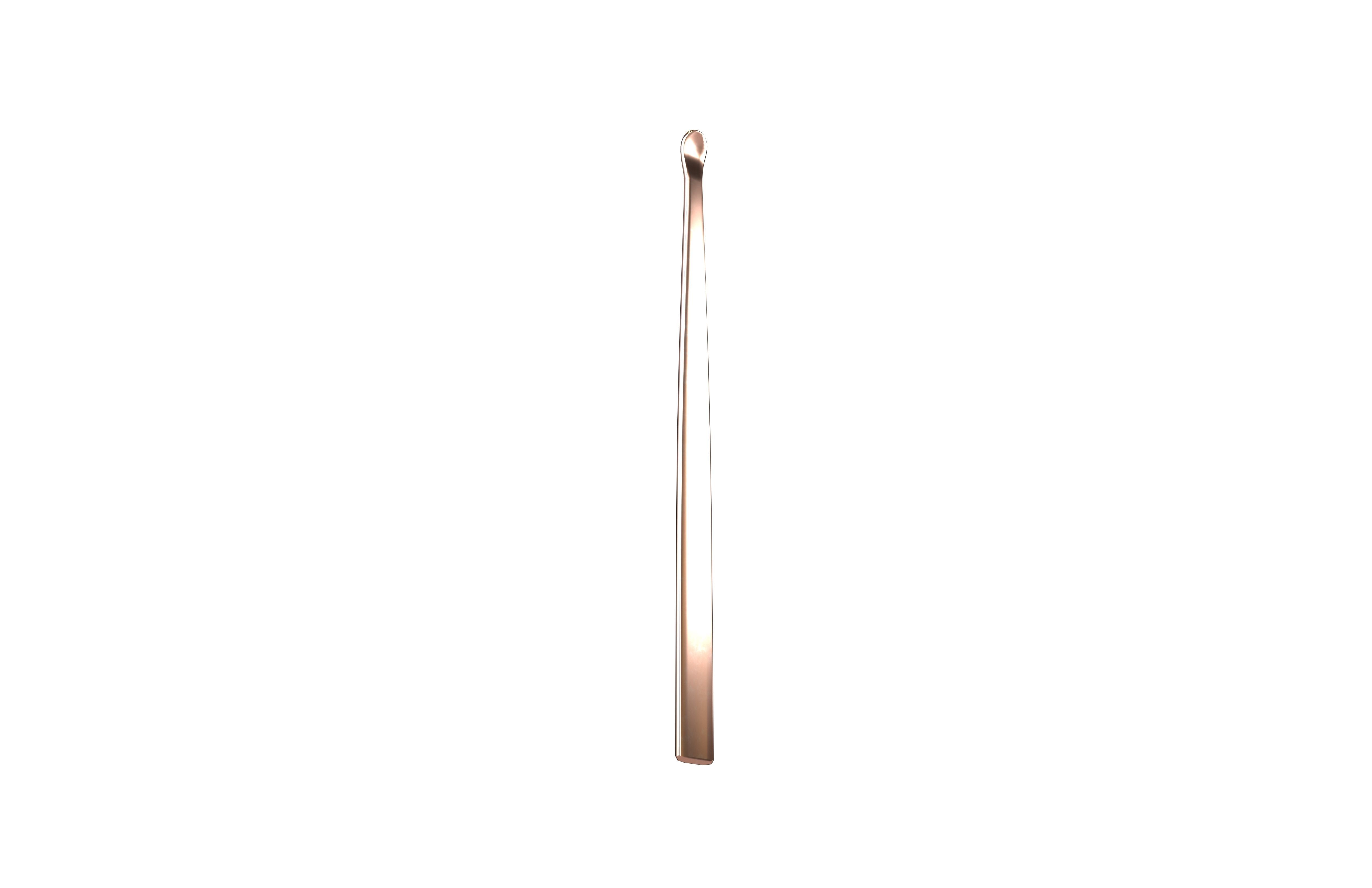 Earwax Picker v1 003 Low-poly 3D model_1