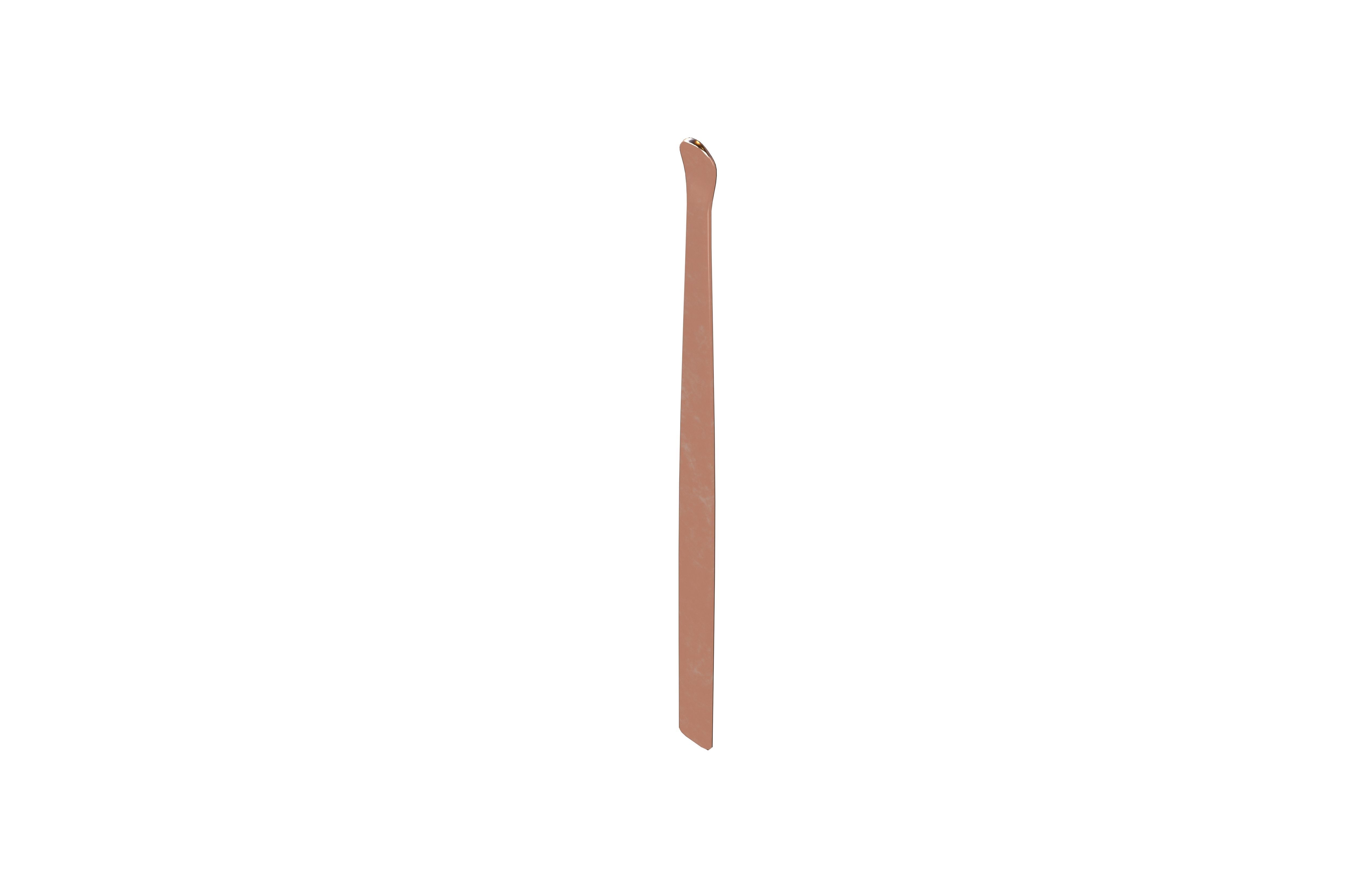 Earwax Picker v1 003 Low-poly 3D model_3