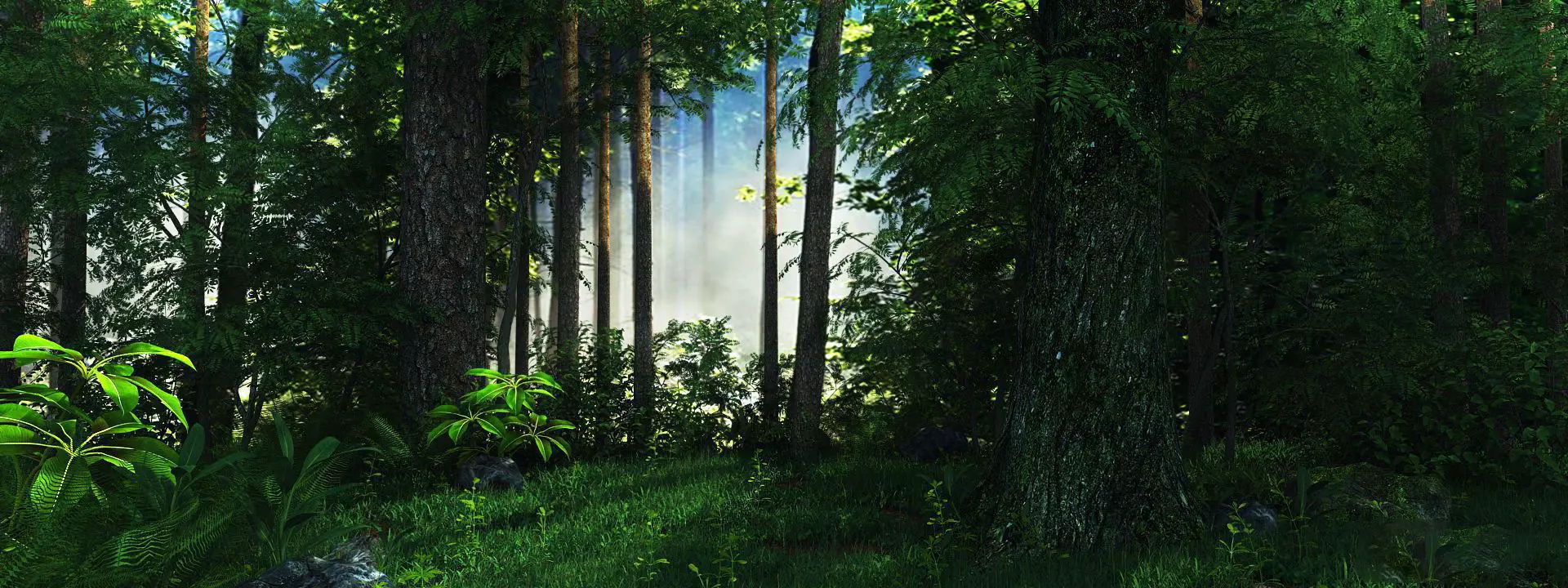 Riparian Forest Scene  3D model_0