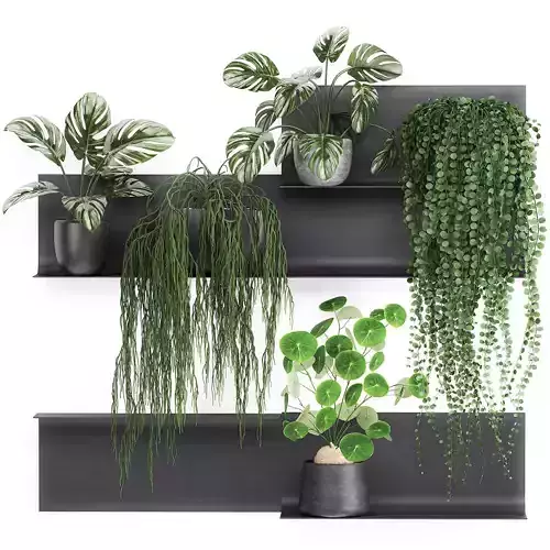 Decorative shelf with flowers in pots 67