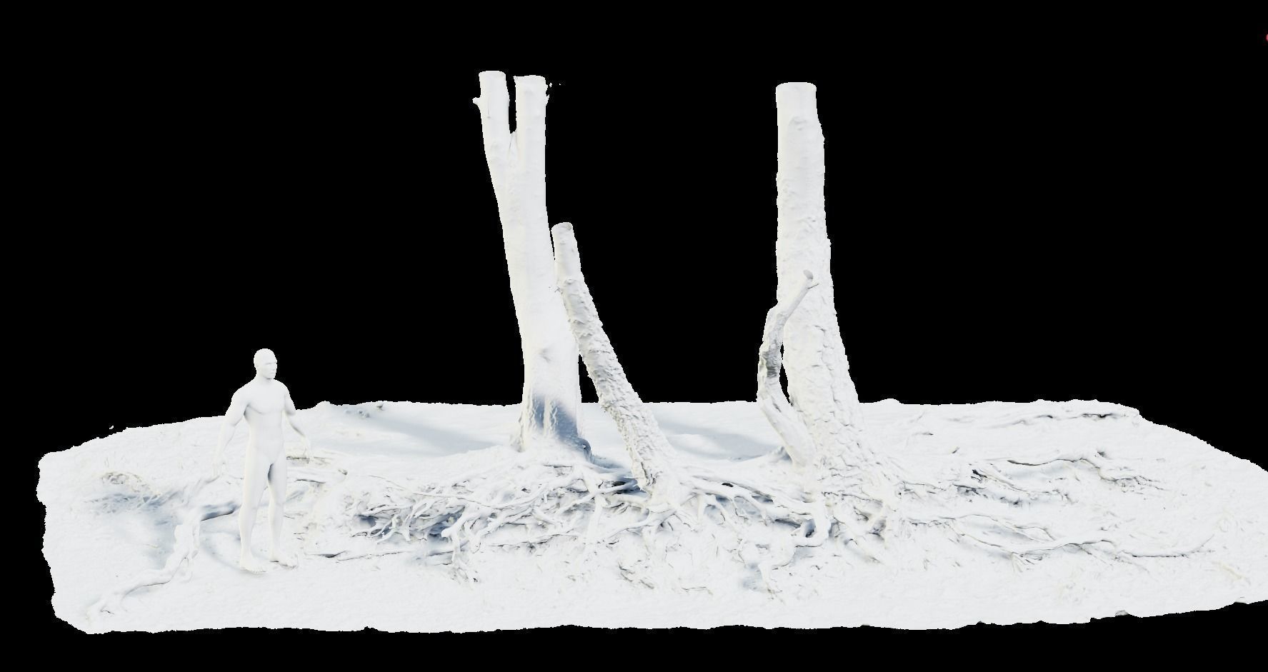Birch Tree Trunk with Roots Overhang Scan Low-poly 3D model_2