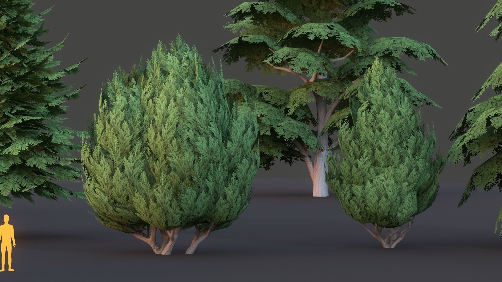 Tree Collection Low Poly G89 Low-poly 3D model_9