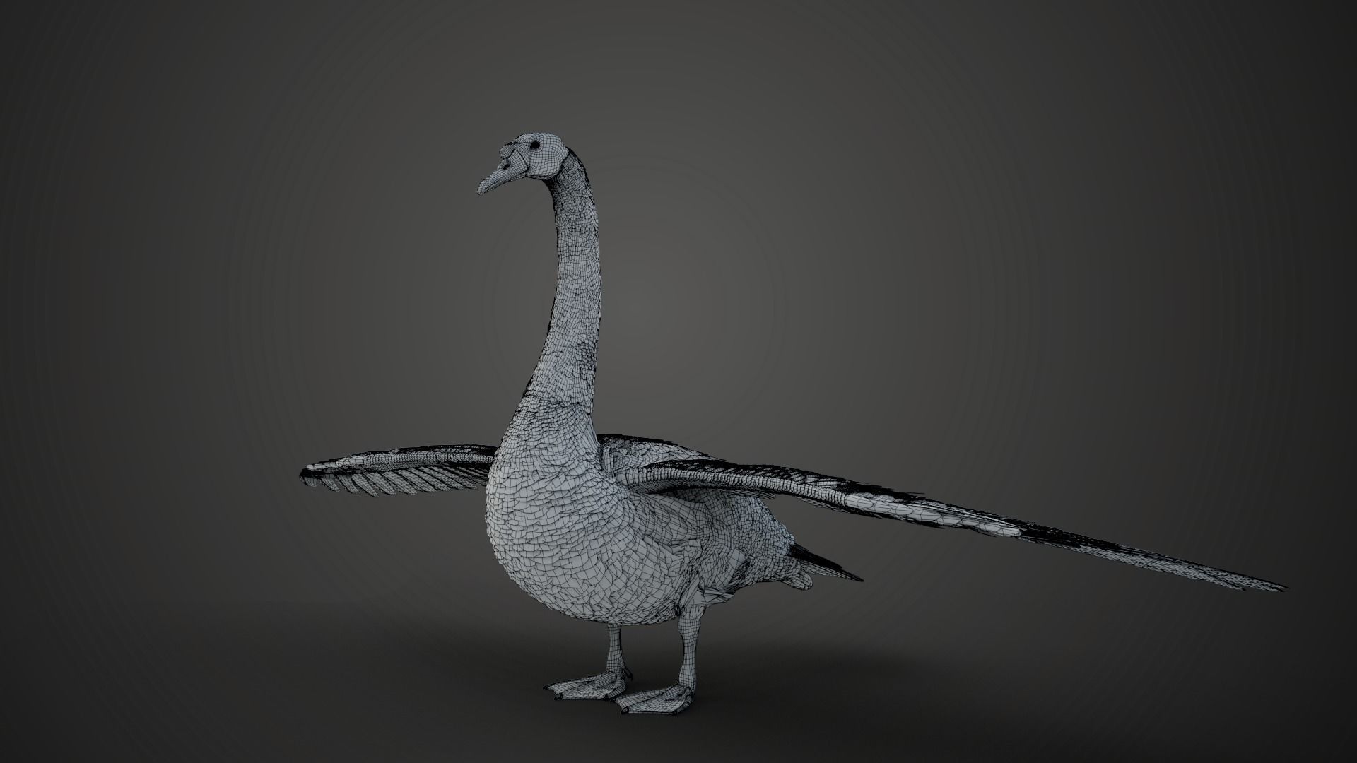 Mute Swan Animated VFX Grace 3D model_18