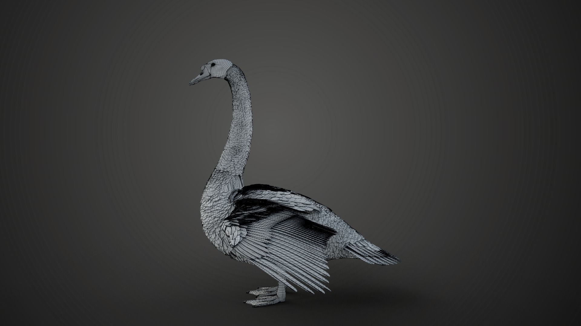Mute Swan Animated VFX Grace 3D model_19