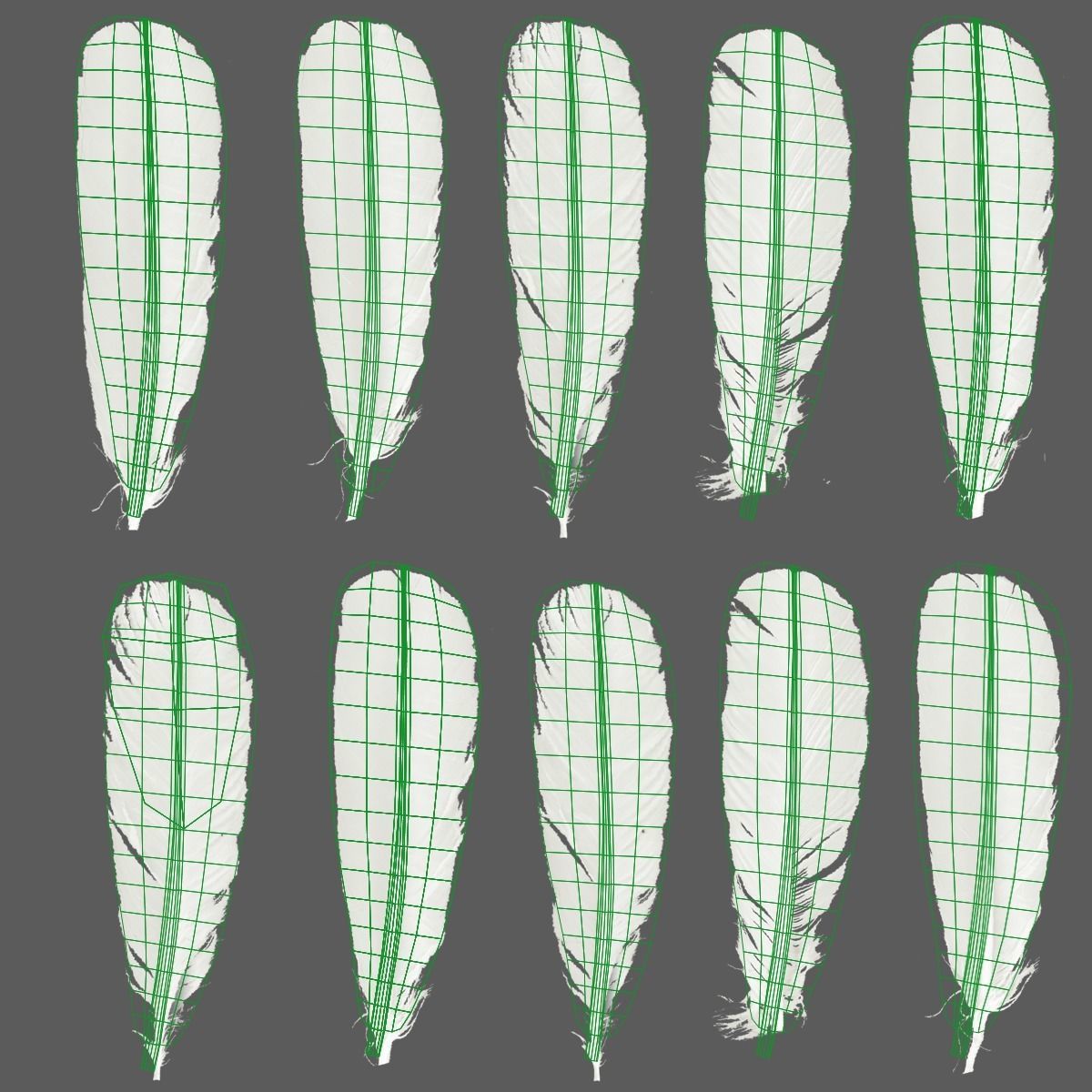 Mute Swan Animated VFX Grace 3D model_15