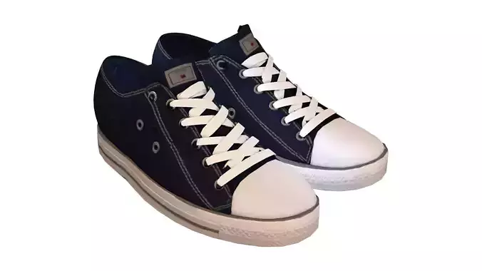 Casual Canvas Shoes