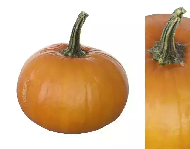 Small Pumpkin Baby Bear Low-poly 3D model