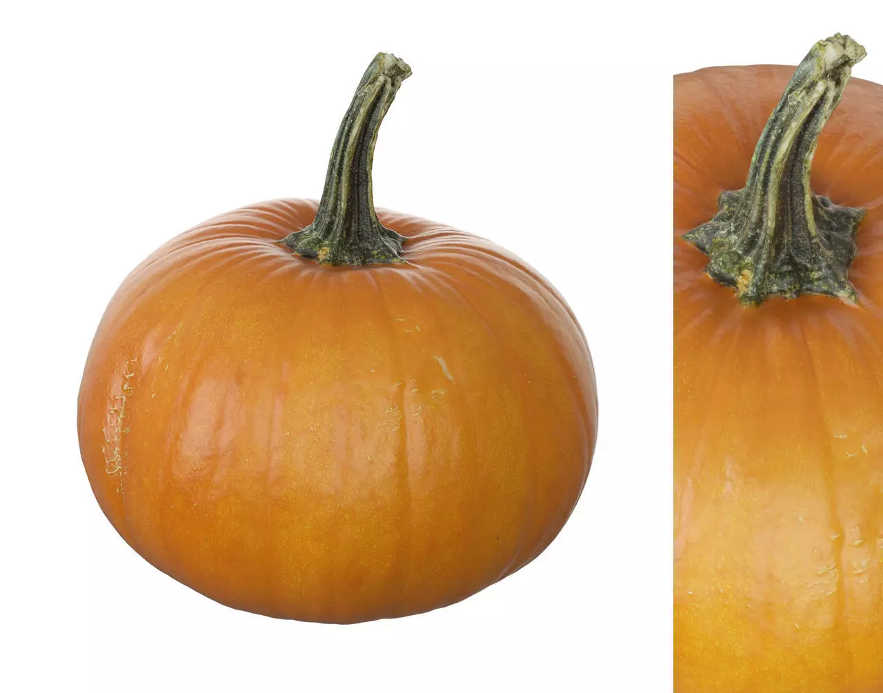 Small Pumpkin Baby Bear Low-poly 3D model_0