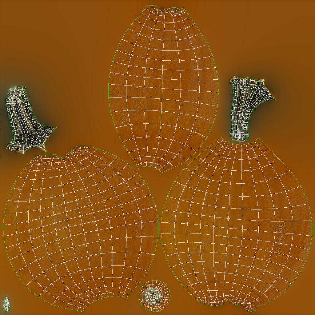Small Pumpkin Baby Bear Low-poly 3D model_12