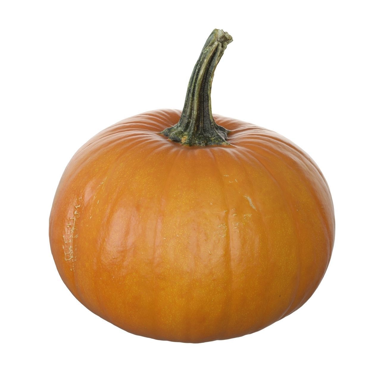 Small Pumpkin Baby Bear Low-poly 3D model_2