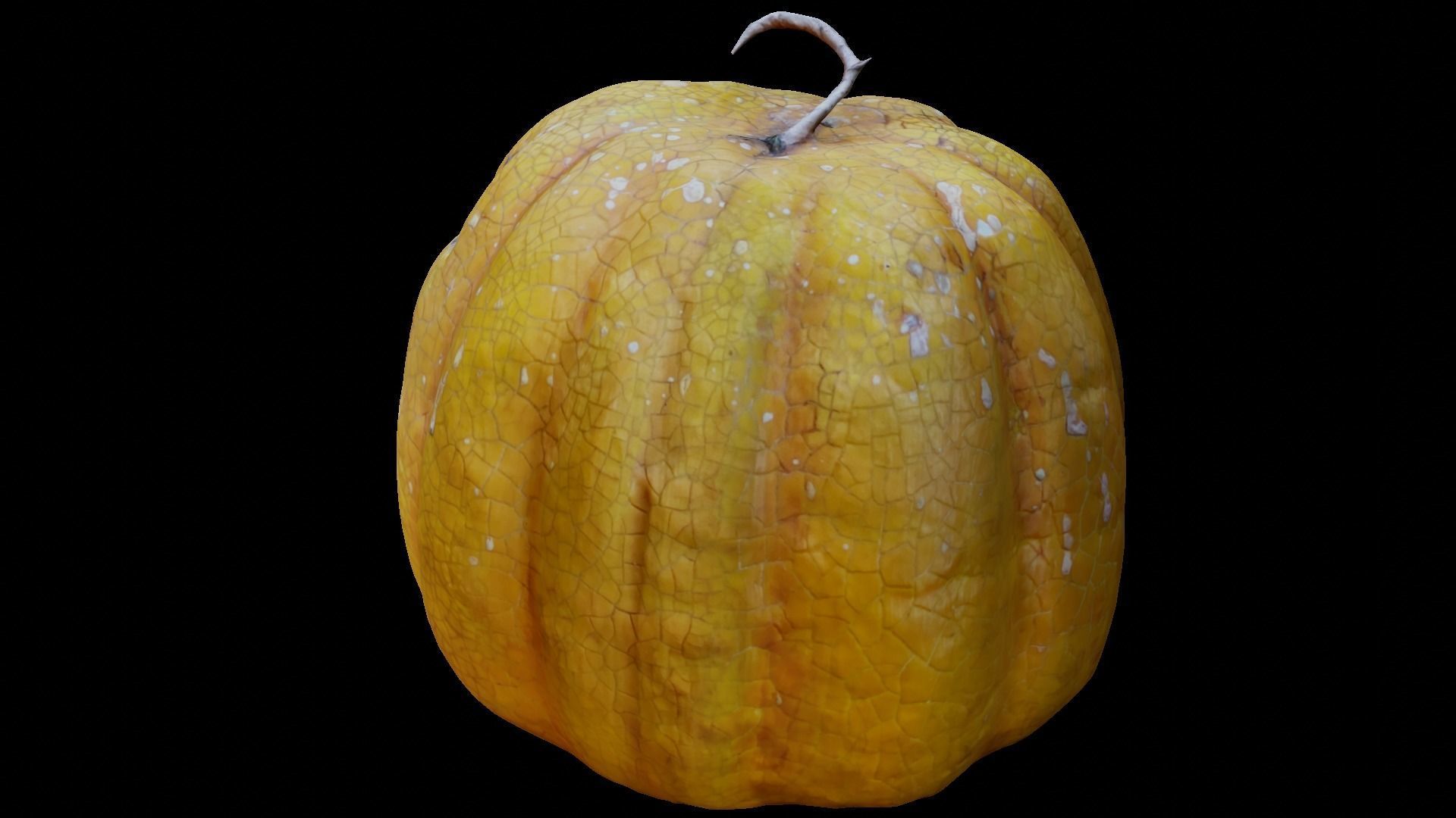 Halloween pumpkin complete SET with light and 55 ready renders Low-poly 3D model_53