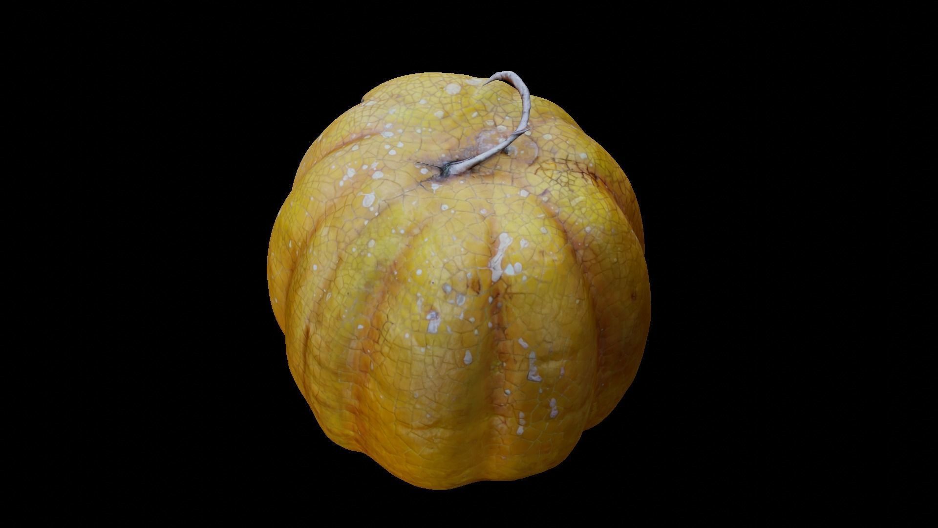 Halloween pumpkin complete SET with light and 55 ready renders Low-poly 3D model_22