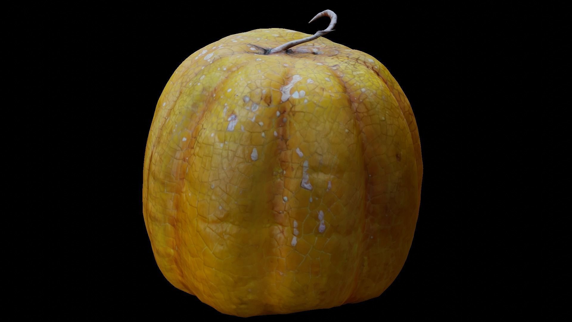 Halloween pumpkin complete SET with light and 55 ready renders Low-poly 3D model_66