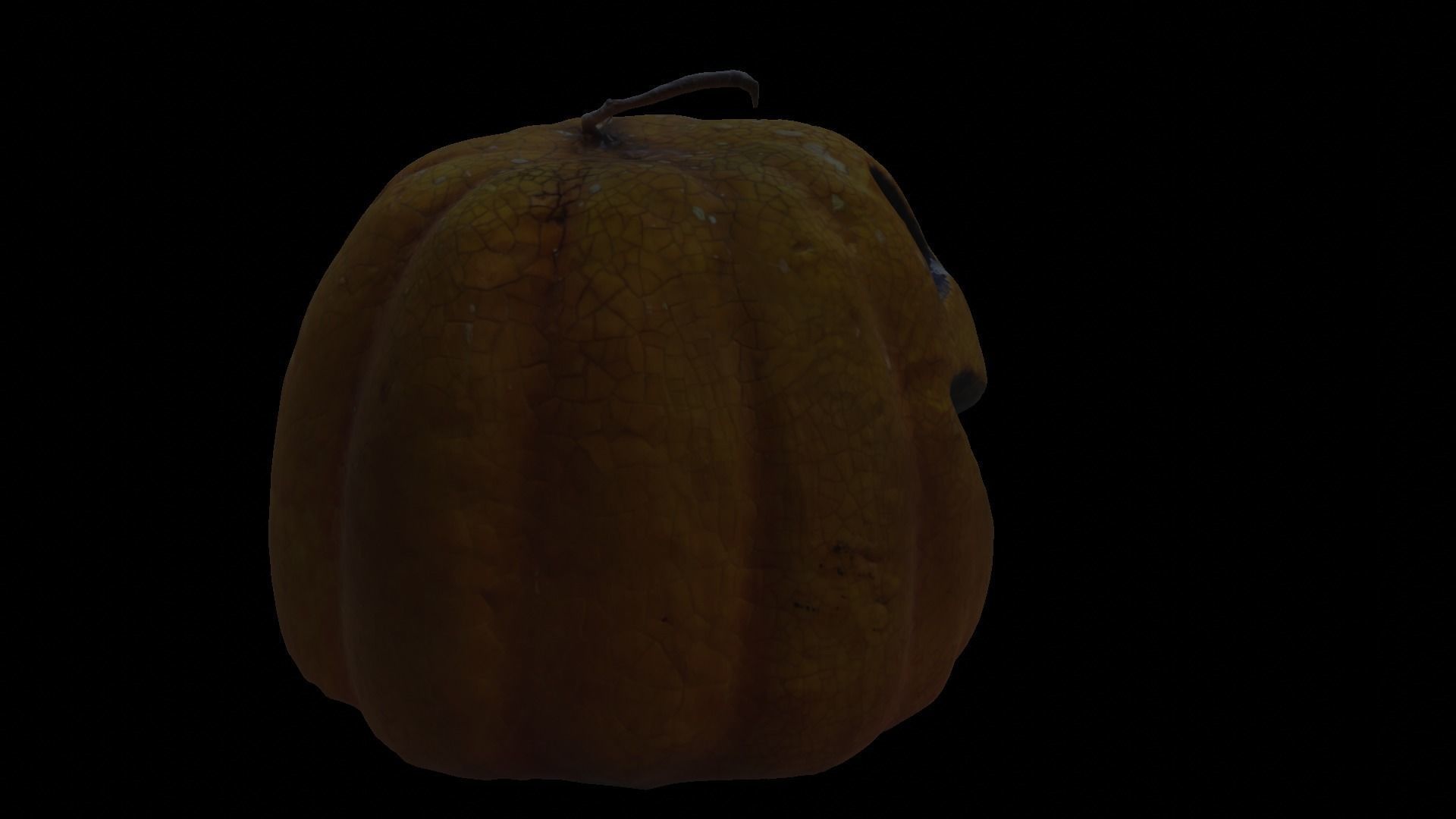 Halloween pumpkin complete SET with light and 55 ready renders Low-poly 3D model_25