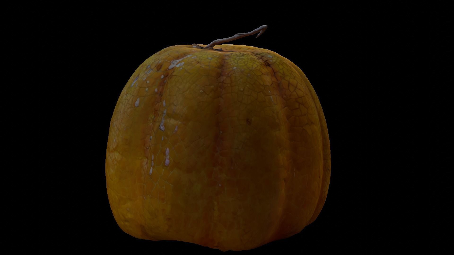 Halloween pumpkin complete SET with light and 55 ready renders Low-poly 3D model_41