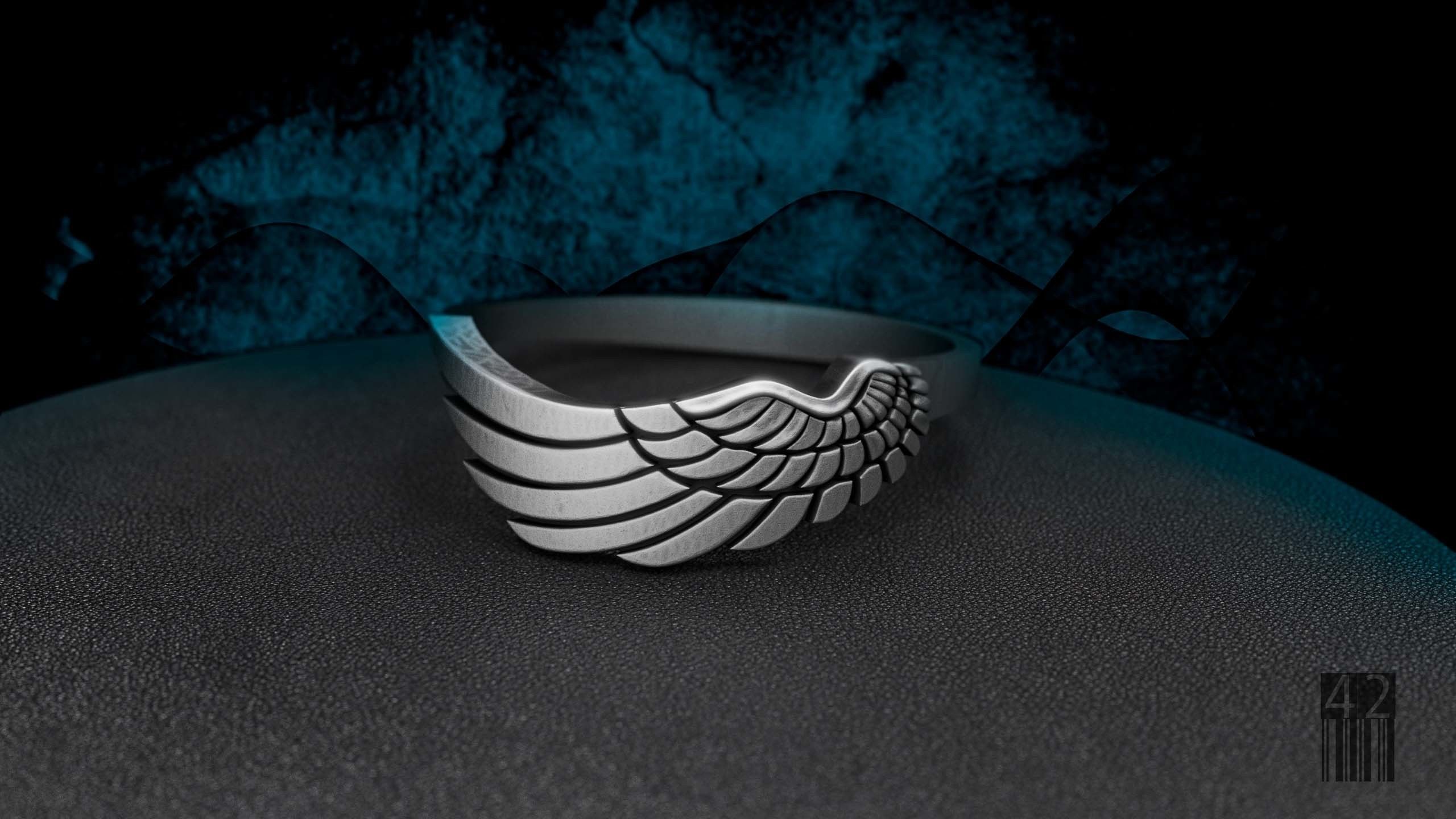 ring wing 3D print model
