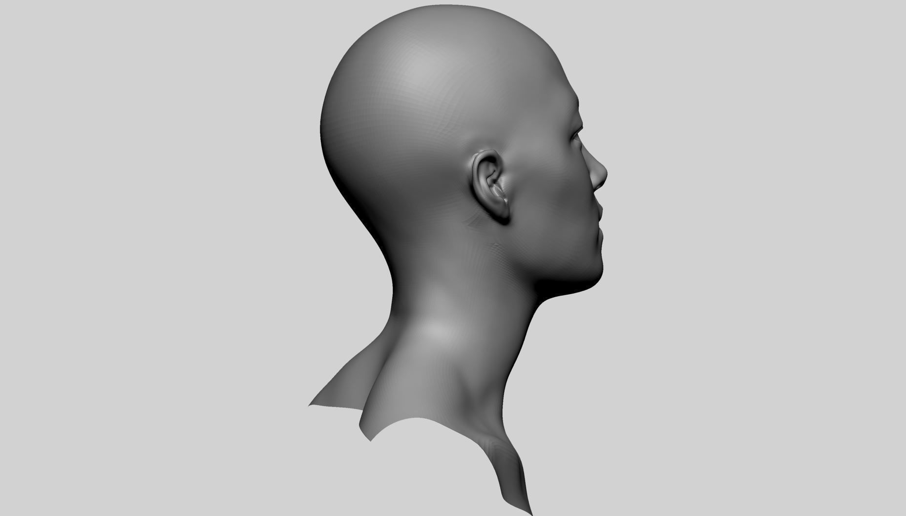 Base Male And Female Head 3D model_4