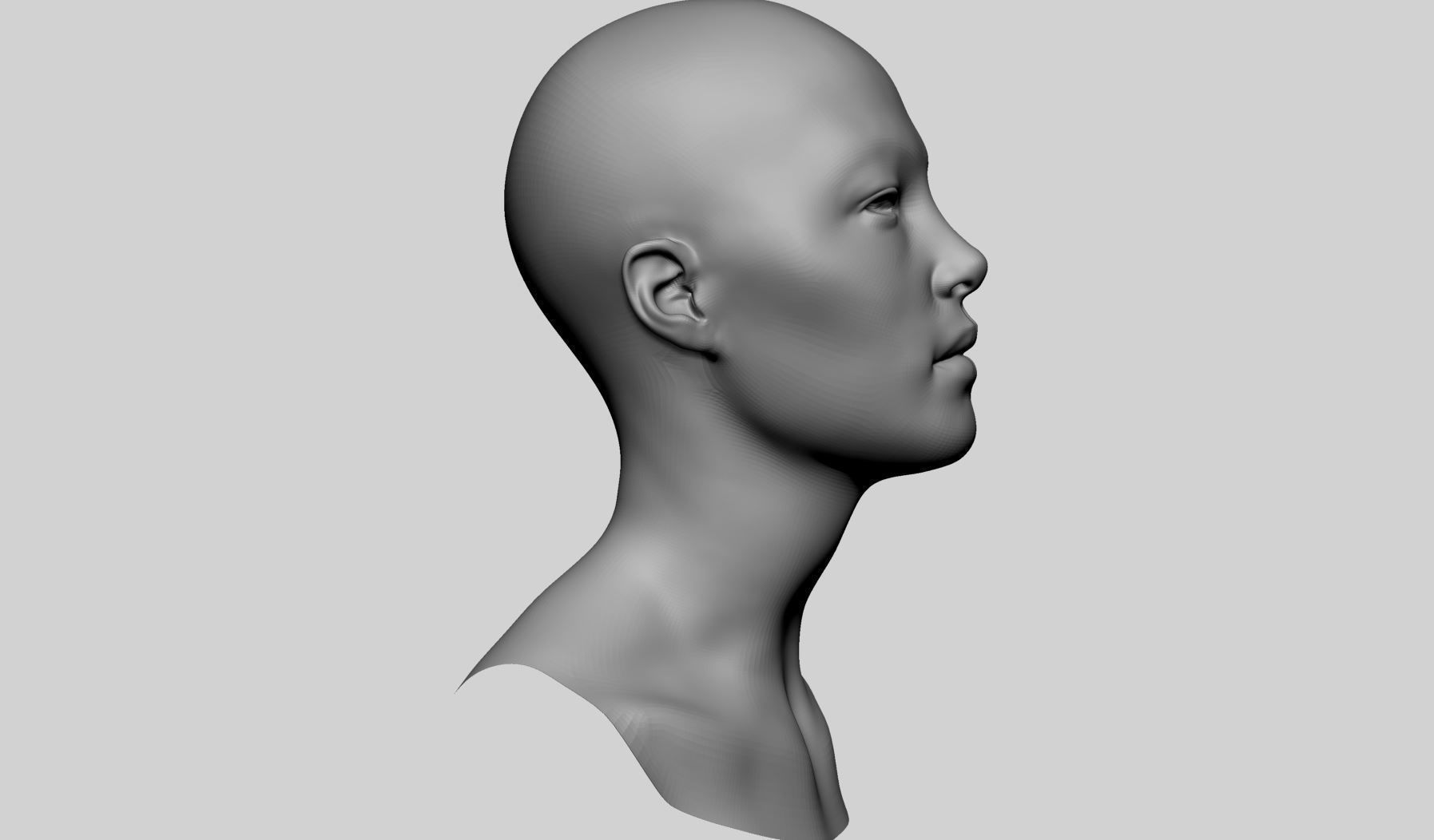 Base Male And Female Head 3D model_3