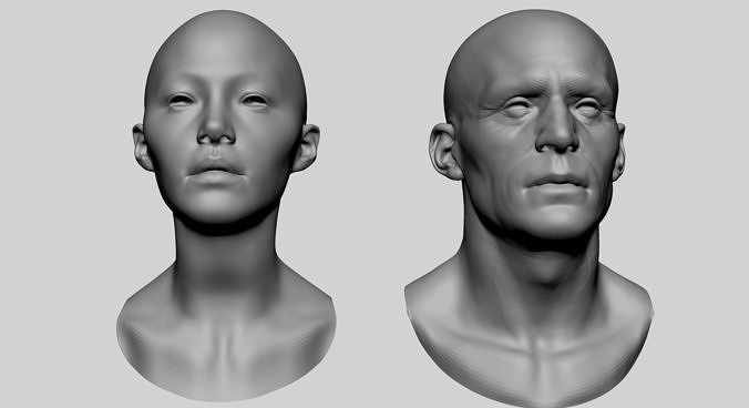 Base Male And Female Head 3D model