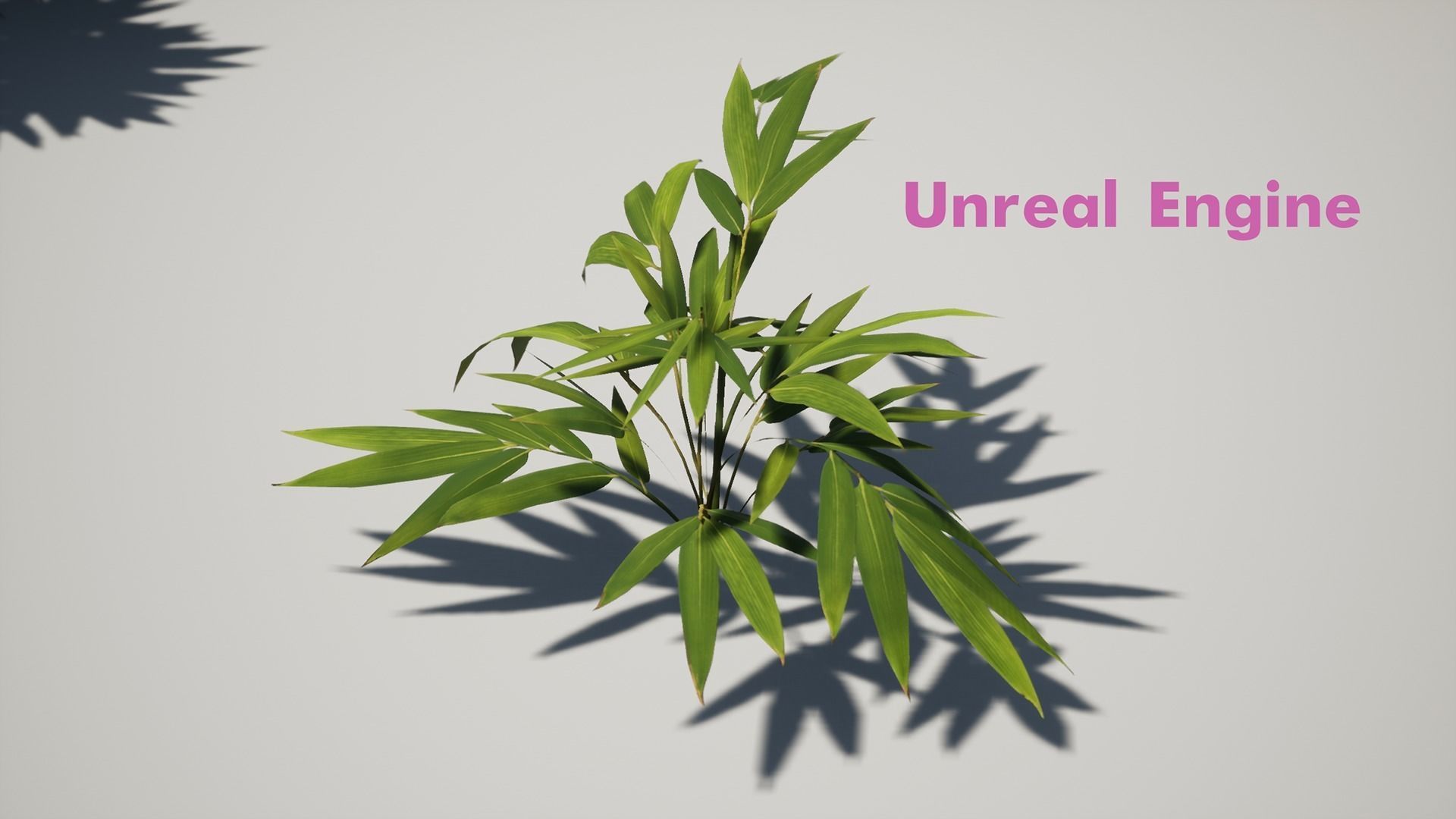 Bamboo Bush Pack Low-poly 3D model_14