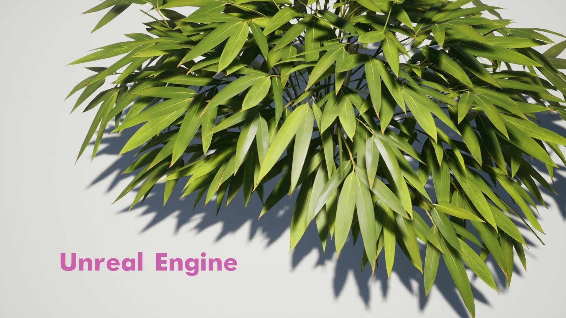 Bamboo Bush Pack Low-poly 3D model_13