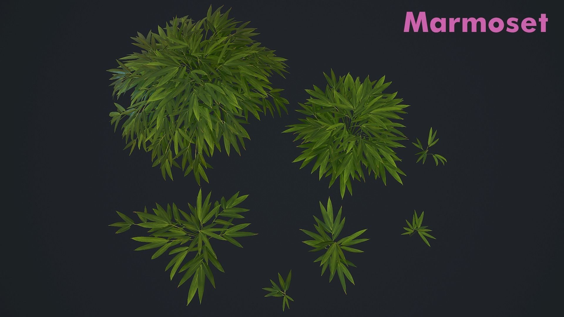 Bamboo Bush Pack Low-poly 3D model_12